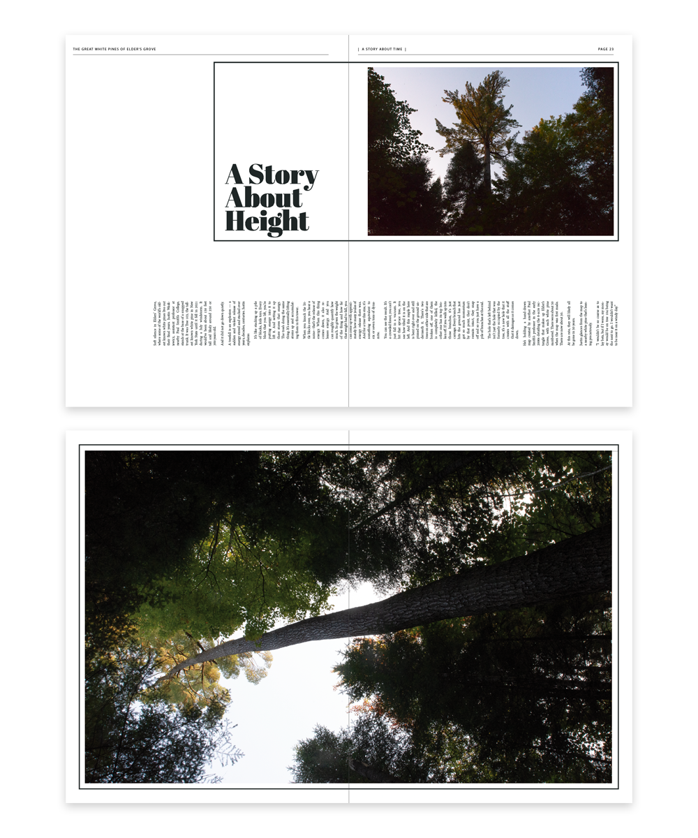 issue 6 preview 2.png