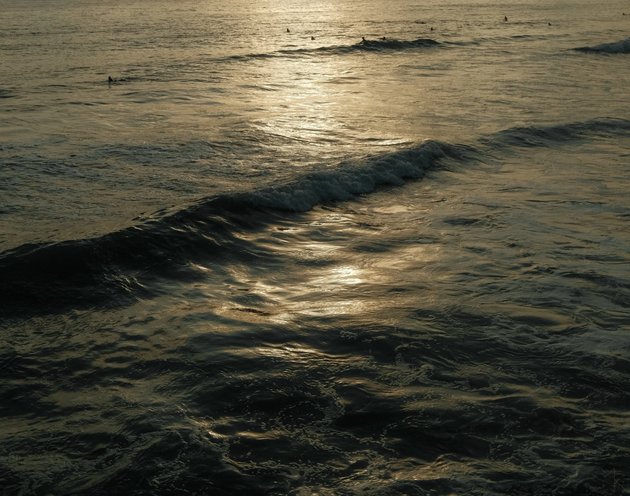 DSCF4950.jpg