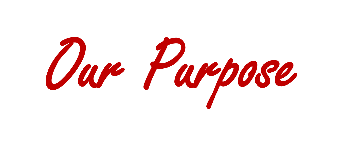 Our Purpose