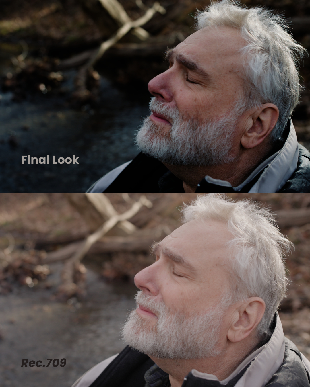 Final v OG_001.png