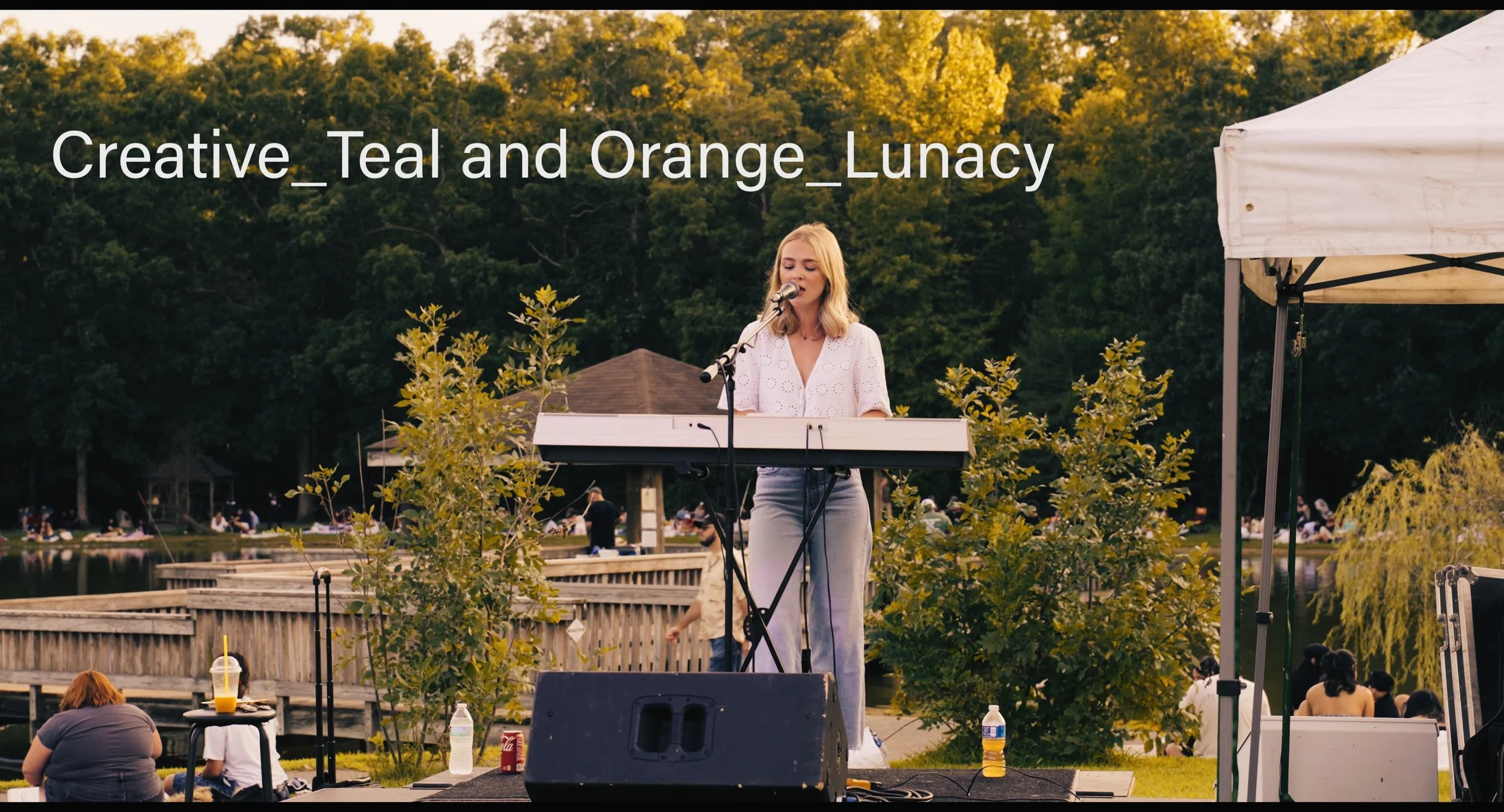 Creative LUT_Teal and Orange_Lunacy.jpg