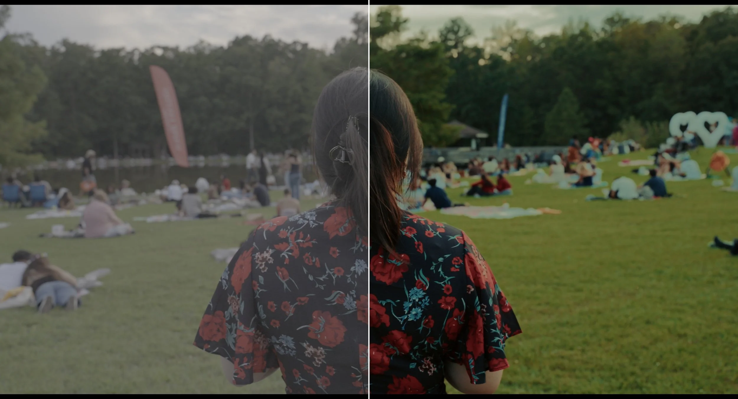 Ex3_Side-by-Side.jpg