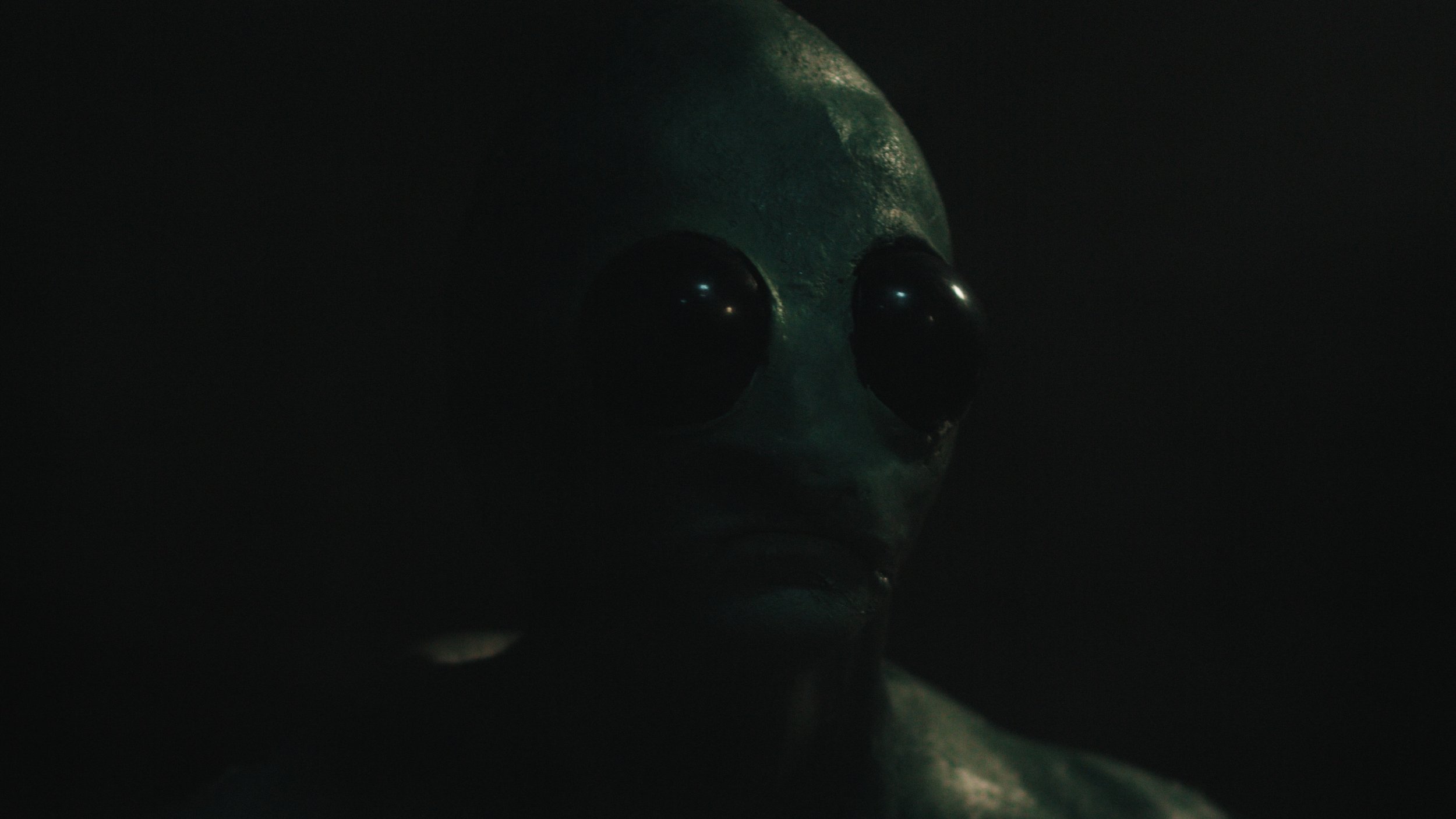 Classified Stills_002.jpg
