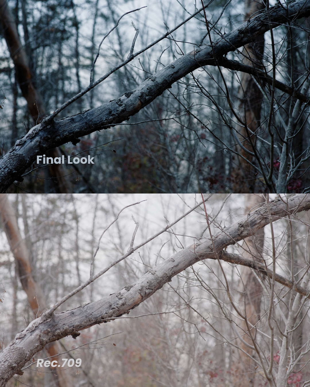 Final v OG_002.png