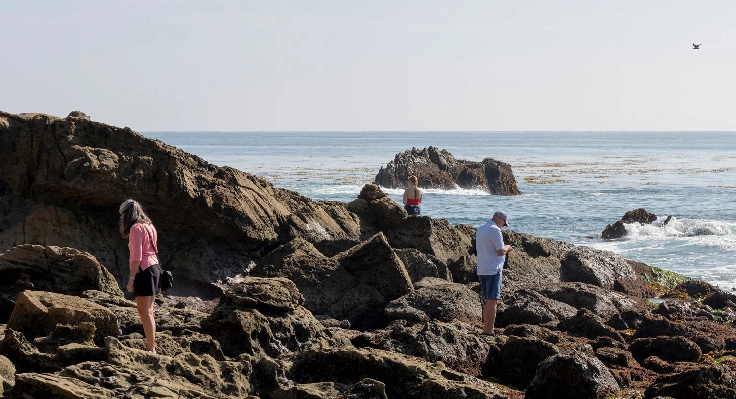 polaroid people 3 before.jpg