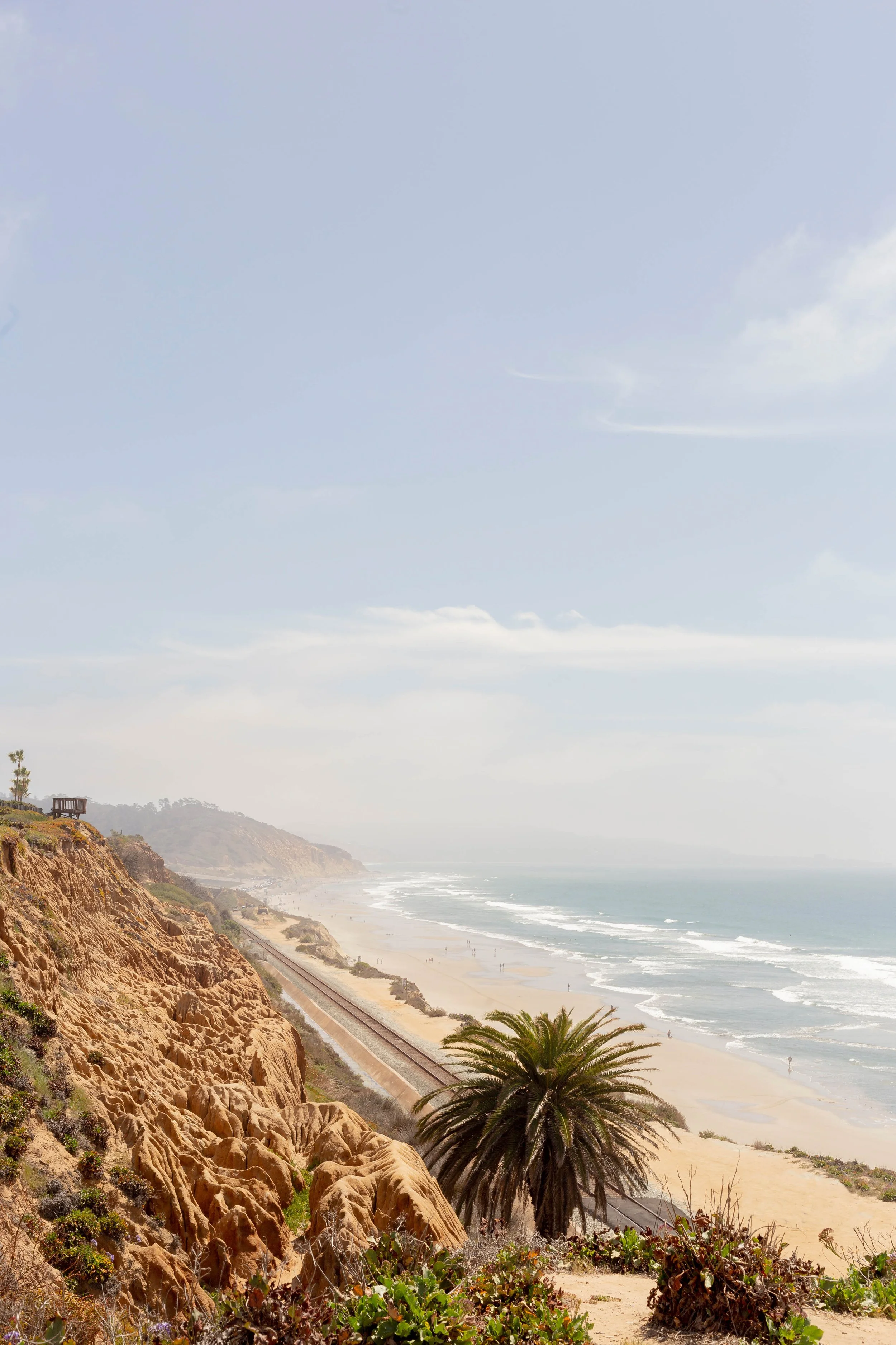 del_mar_4th_street_landscape.jpg