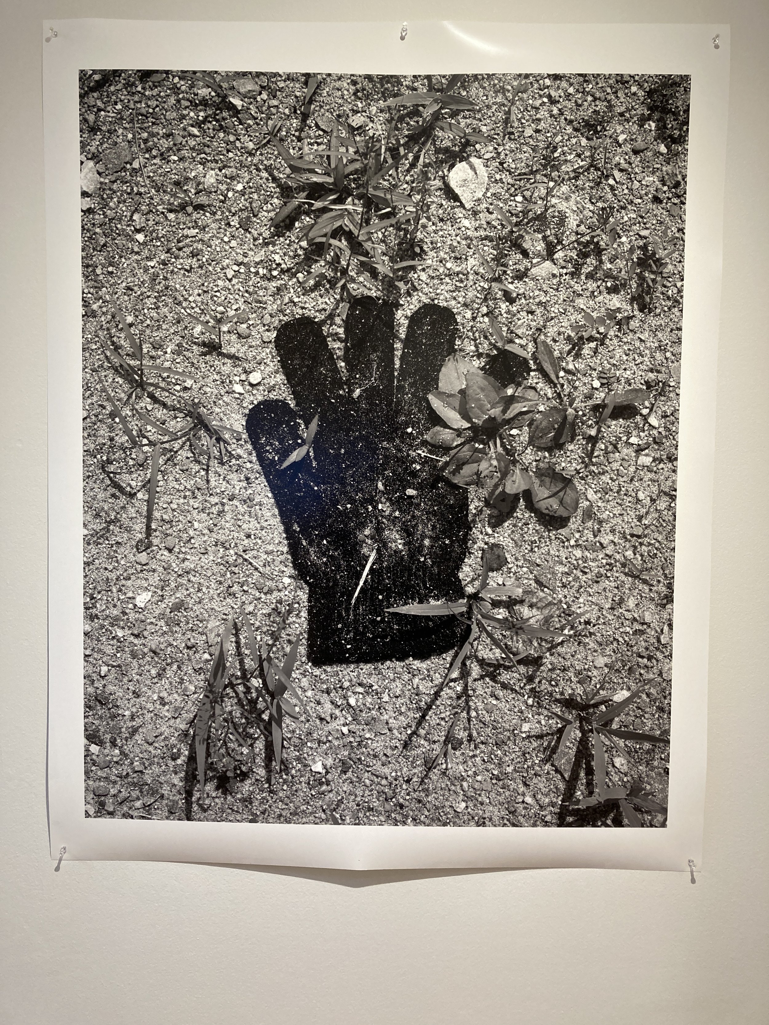 "Roxham Road Post Mortem (glove)" by Bill McDowell