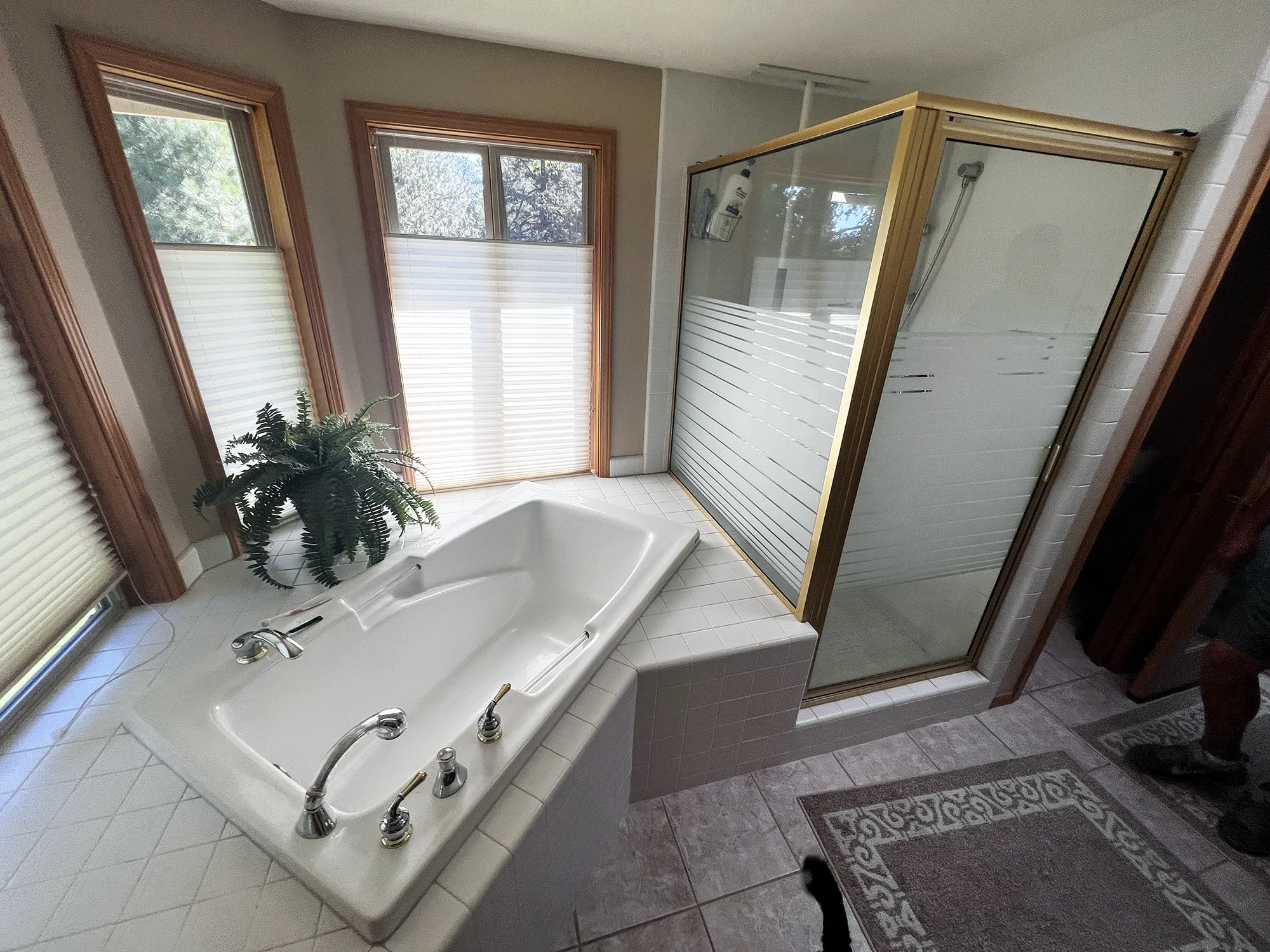 BEFORE: Primary—Tub & Shower