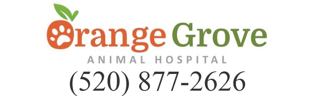 Orange Grove Animal Hospital - Tucson