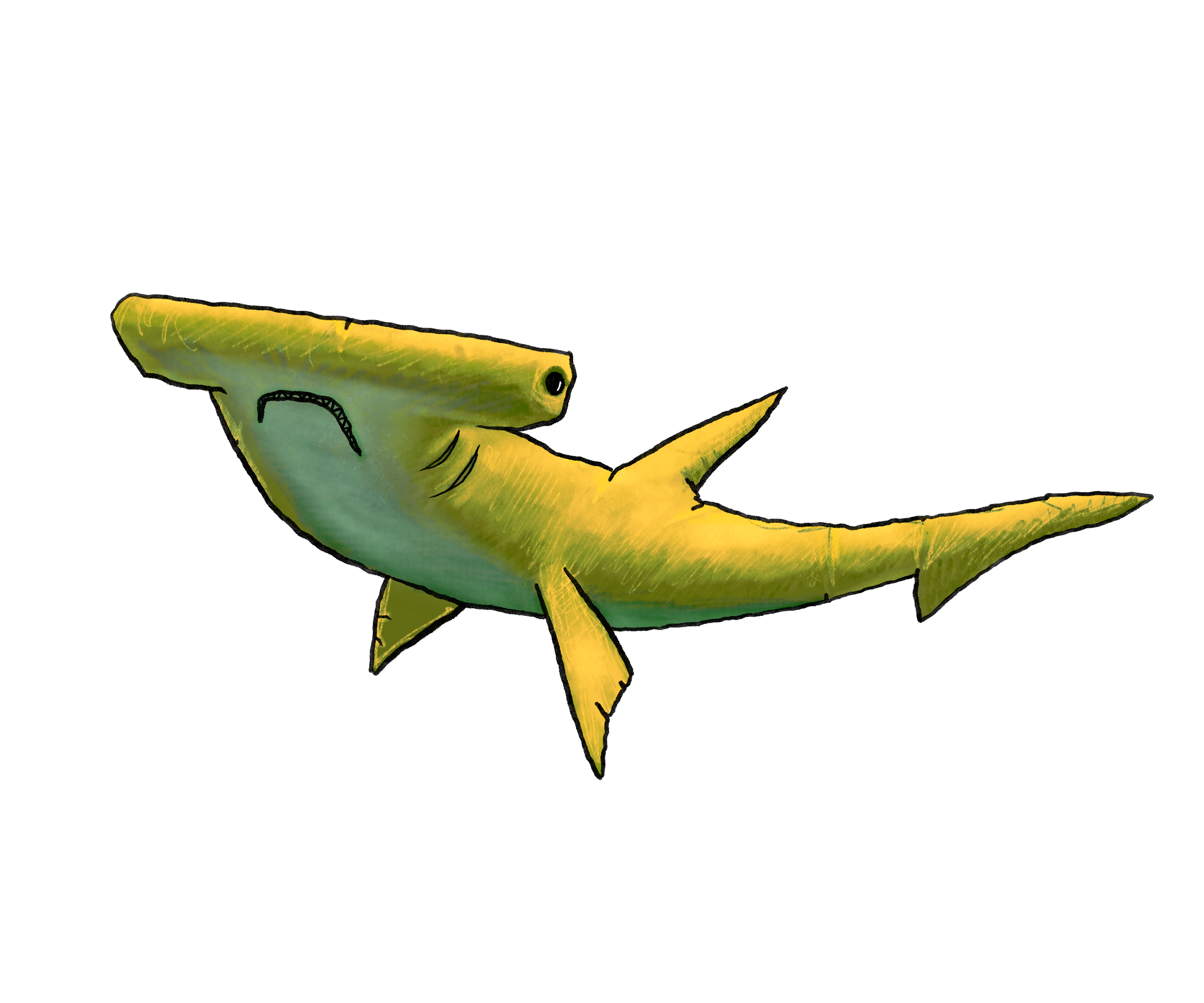 Yellow_Moon_Shark_Sticker.png