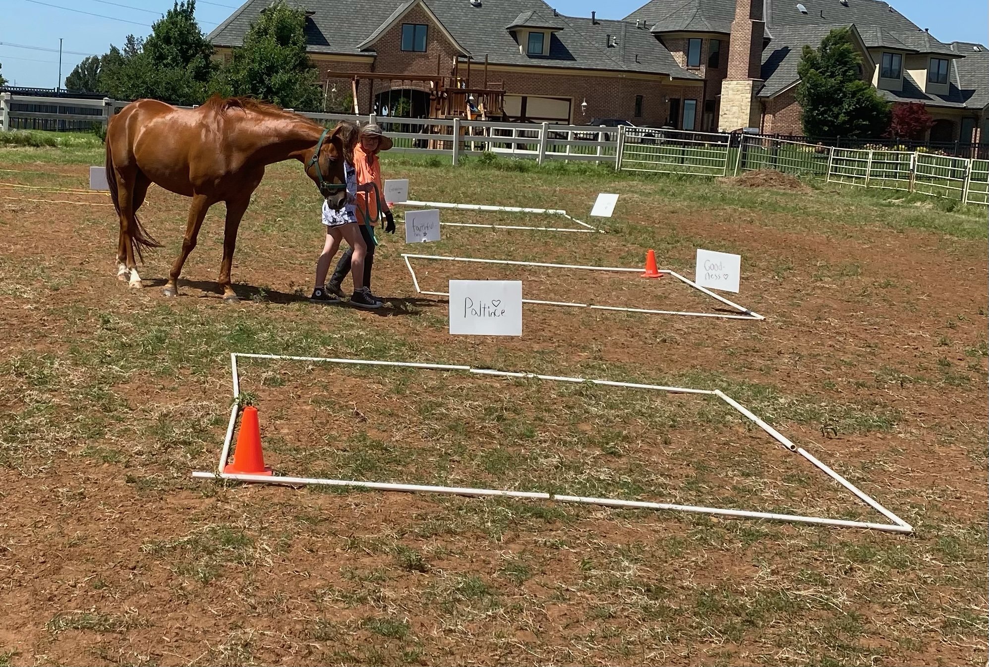 session pictures.jpeg