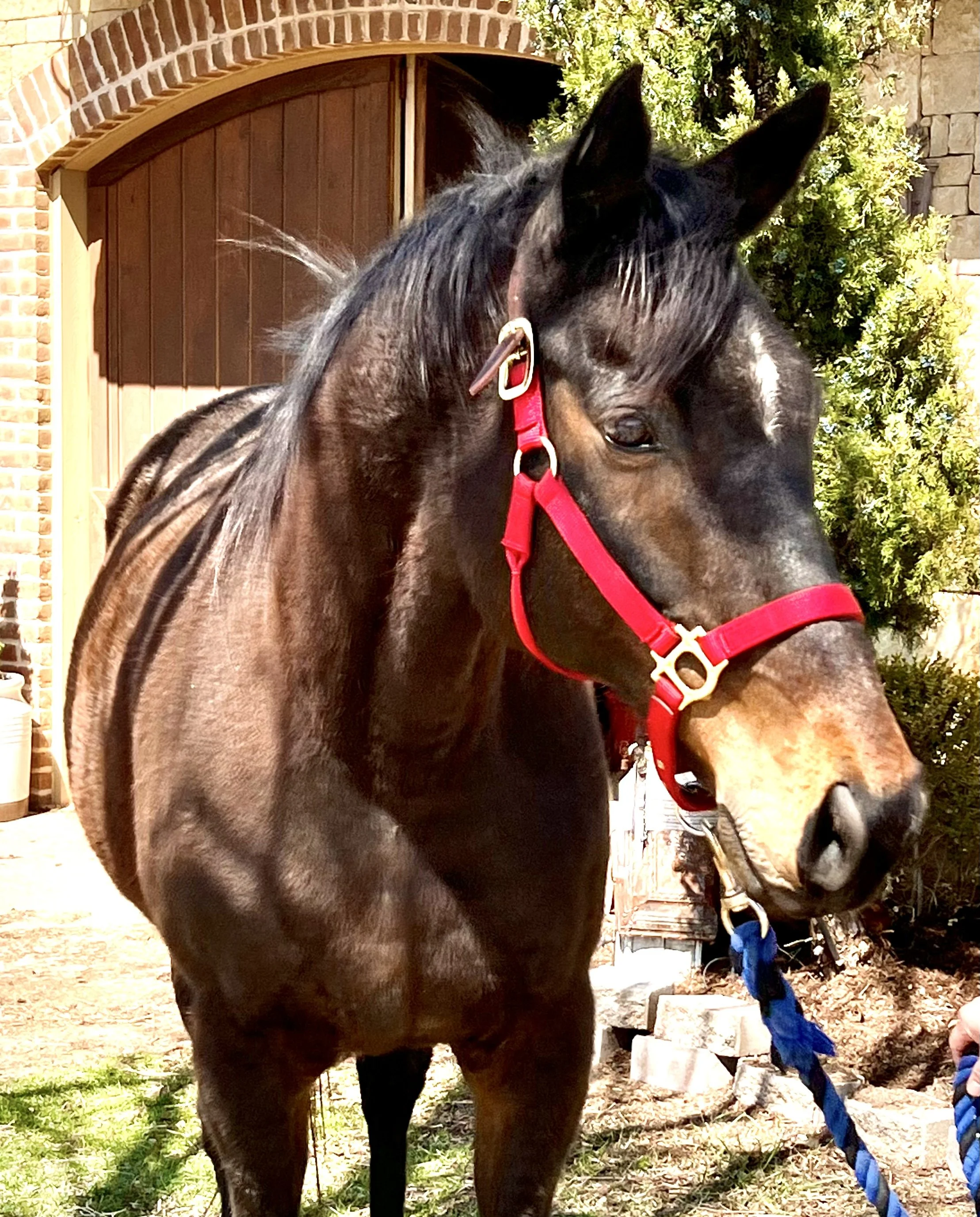 Madden side prof no name.JPG