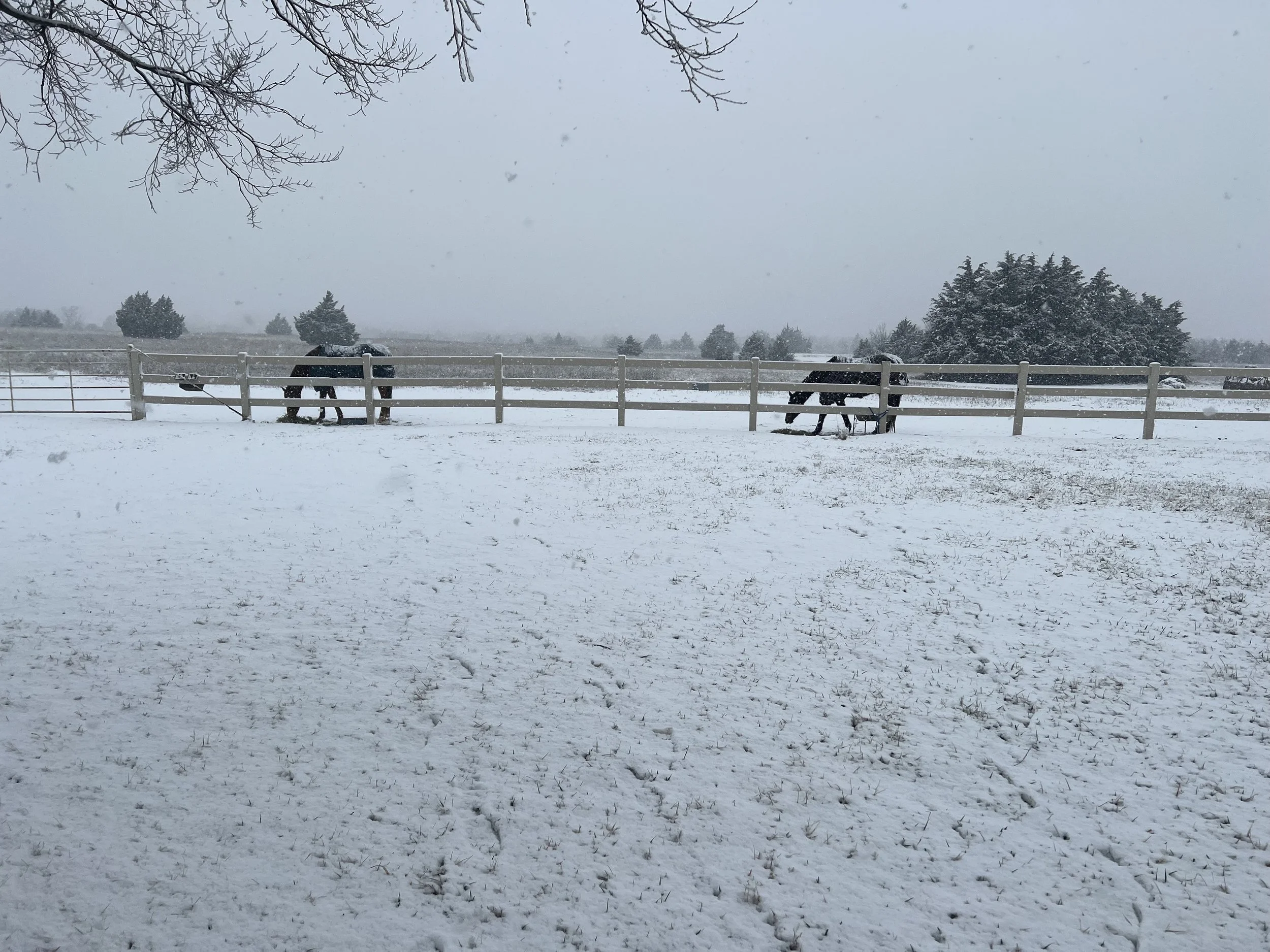 snow at barn .jpg