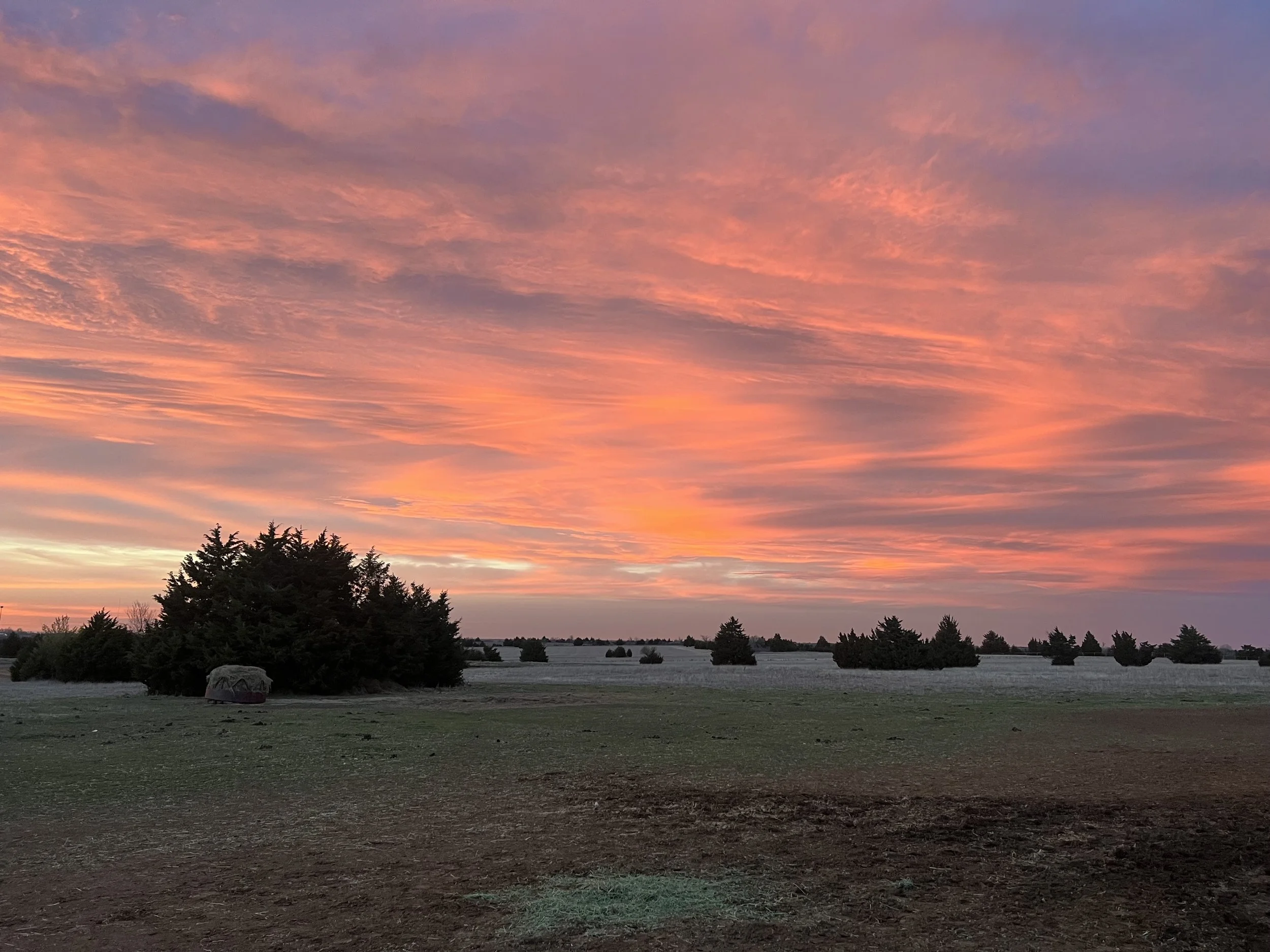 pasture sunset:pretty sky .jpg