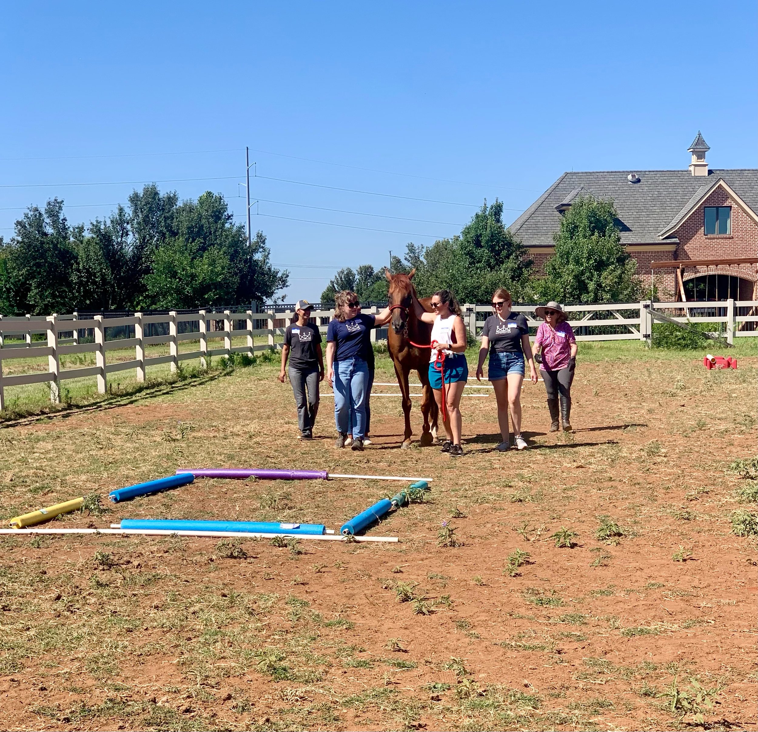 qrf website events page image.jpeg