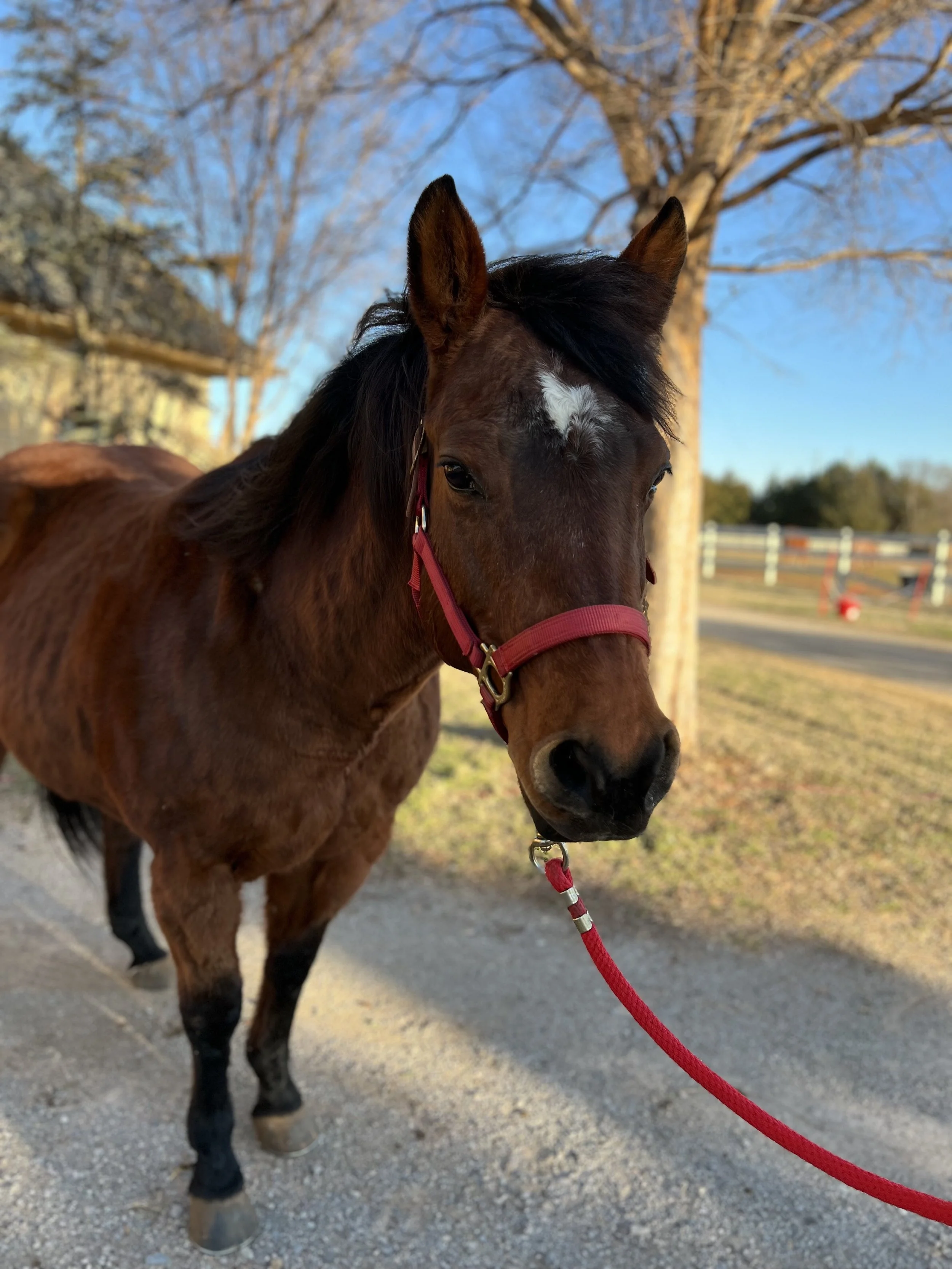lucy updated headshot.jpg