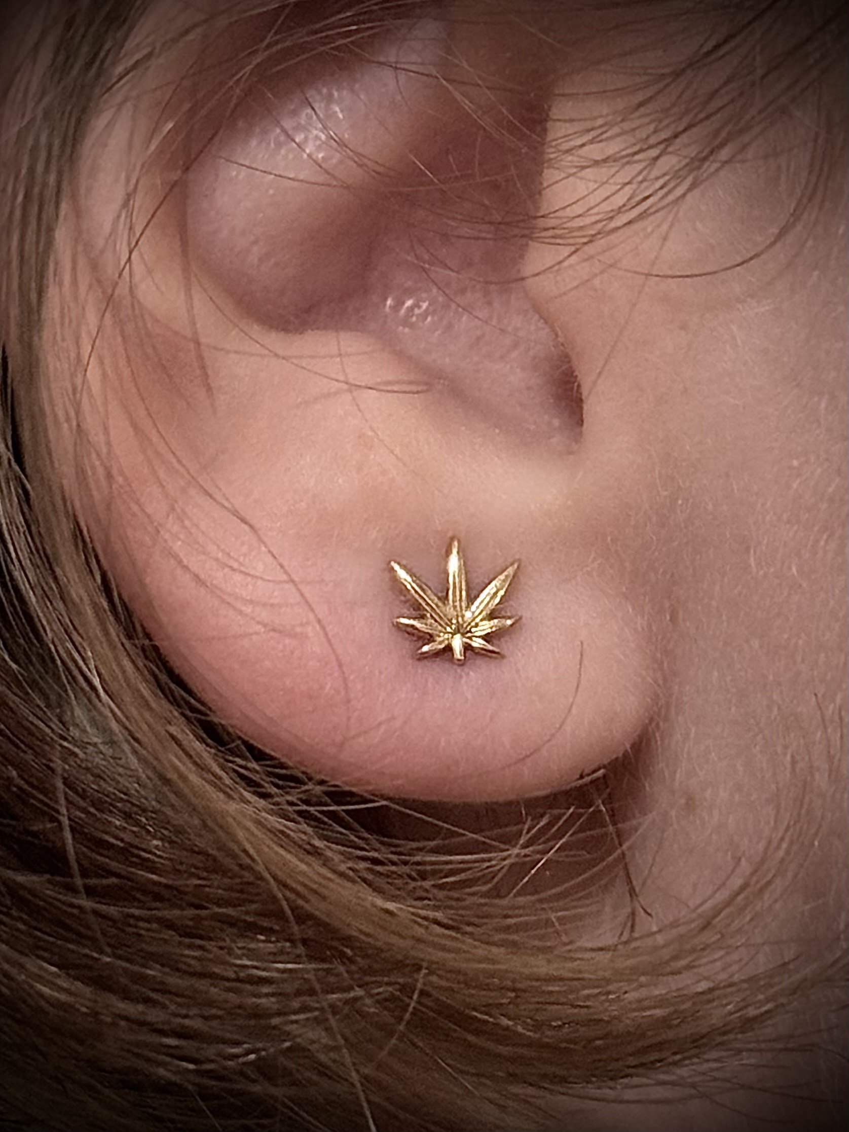 IMG_8205 - Copy.jpeg