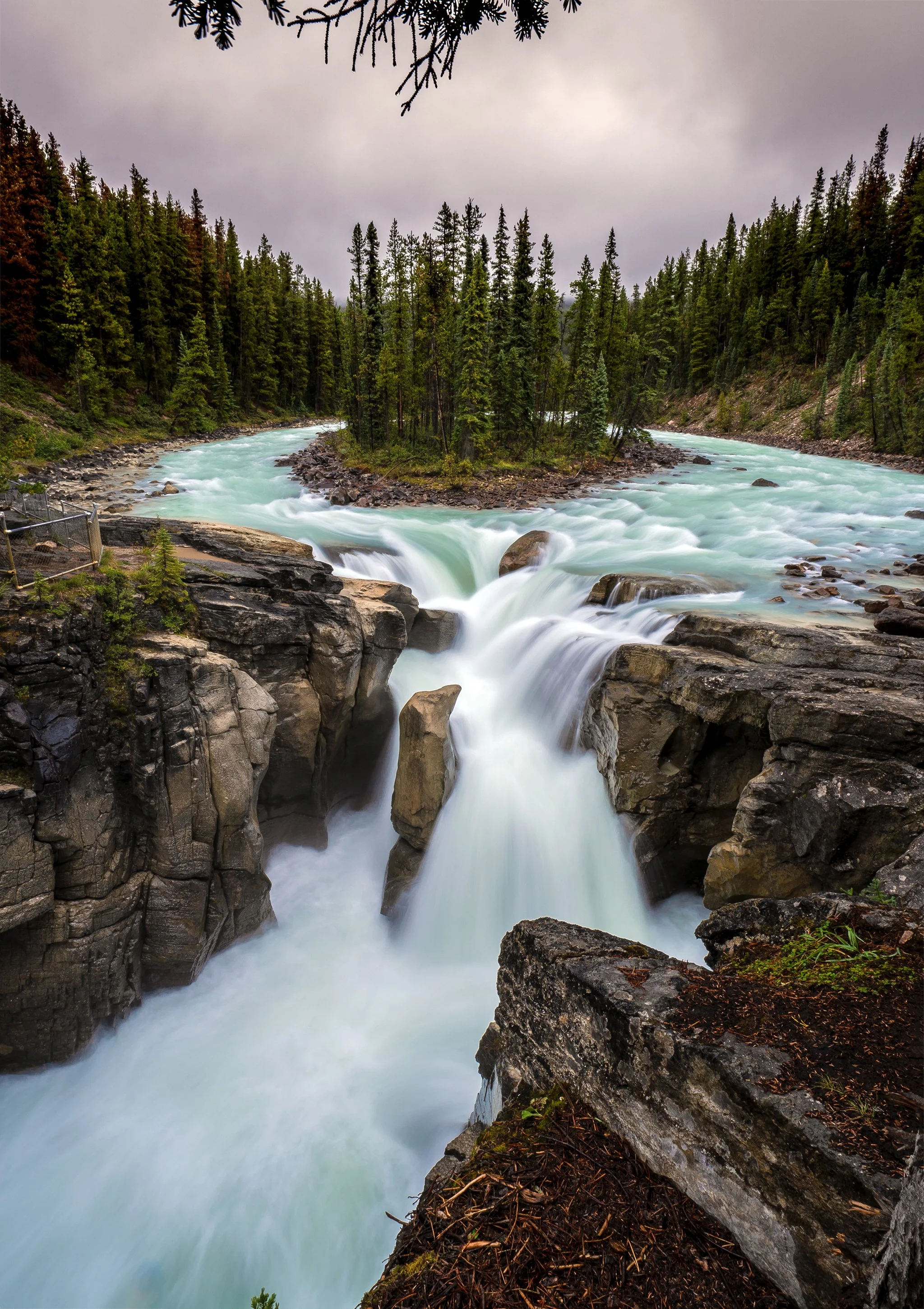 Banff_waterfall and trees.jpg