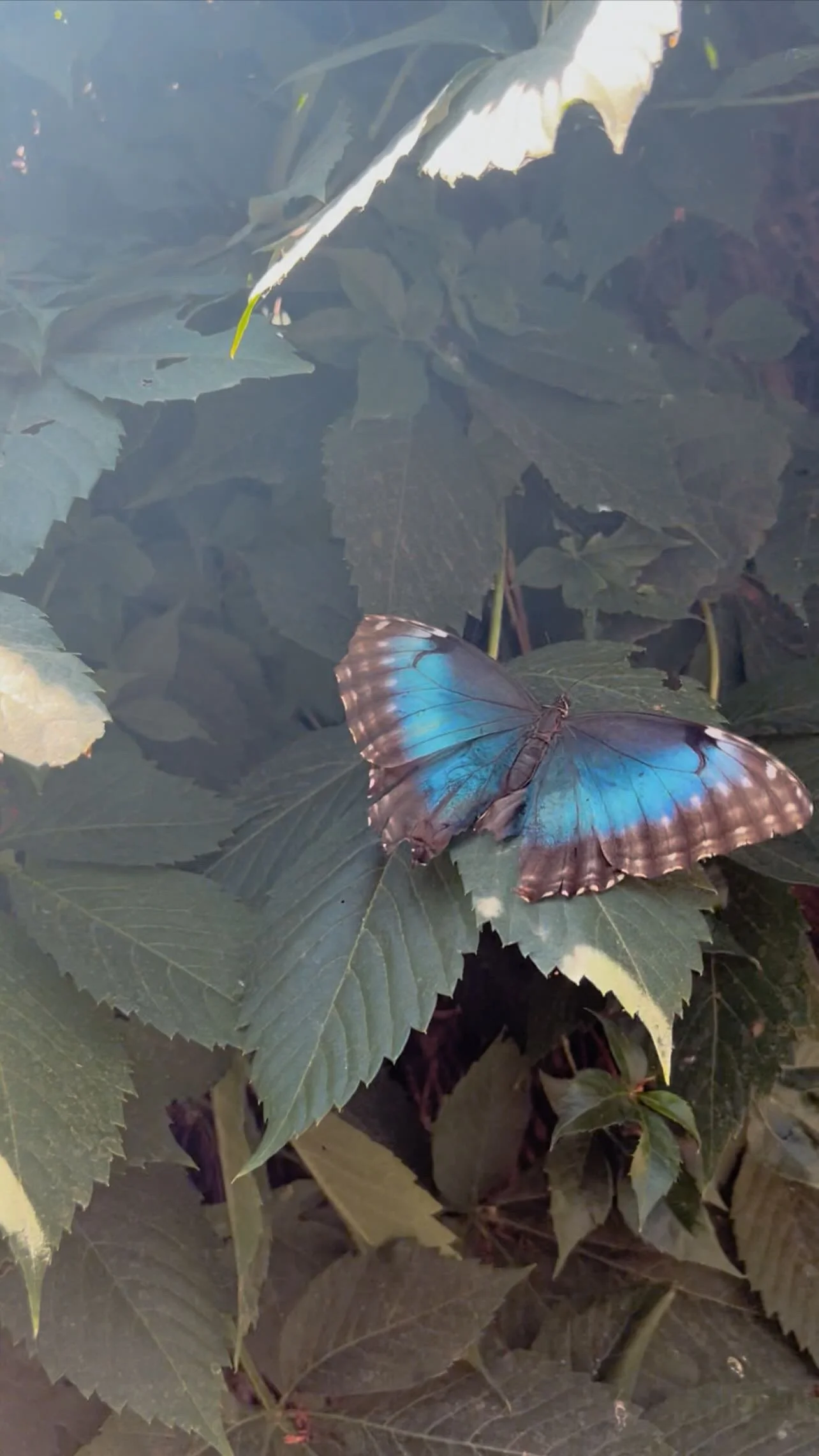51B302C9-A30E-4330-A421-AC5C4E97EE42.jpeg