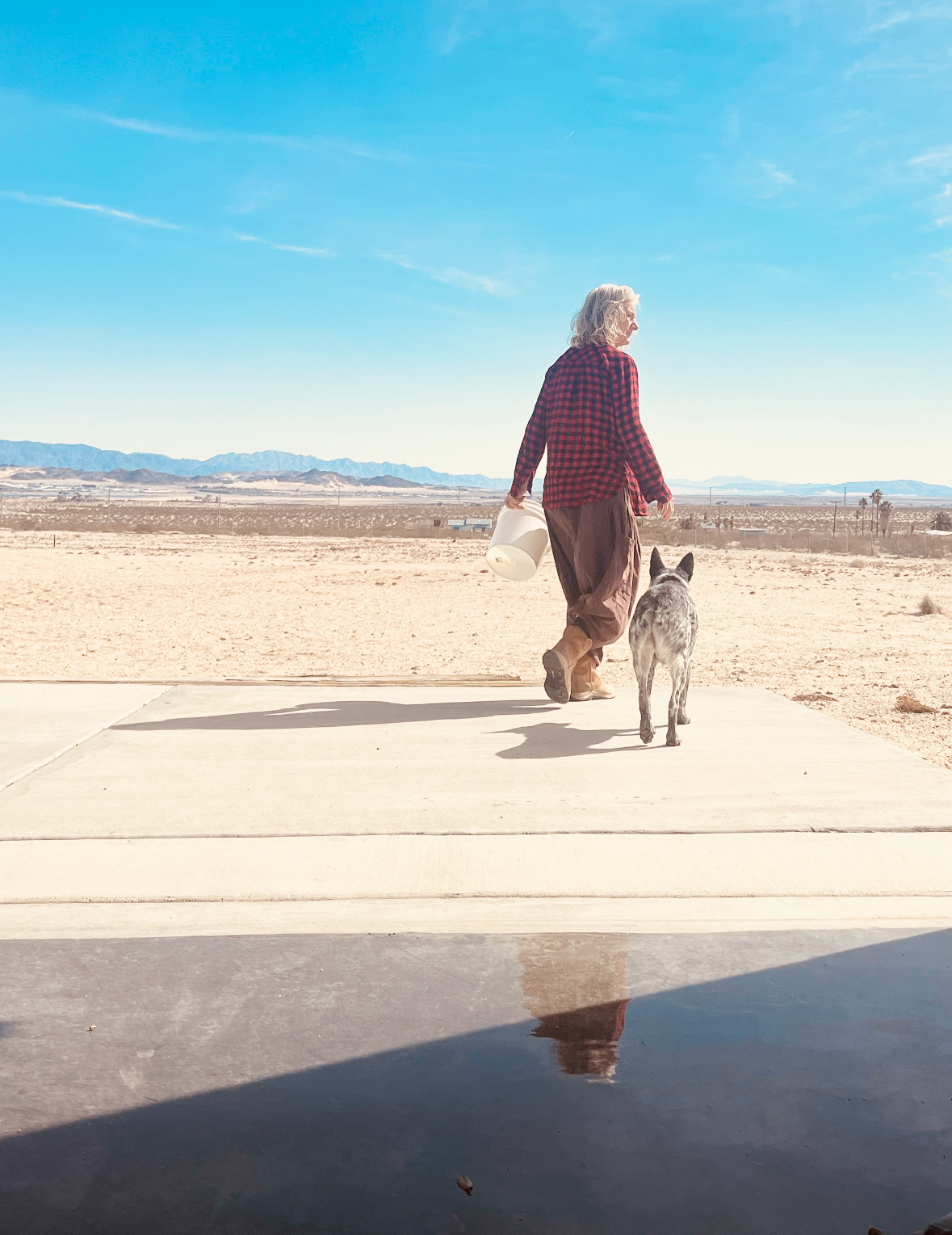 A woman walking on a sidewalk in a desert area with a dog, holding a white container, with distant mountains and a clear blue sky in the background.