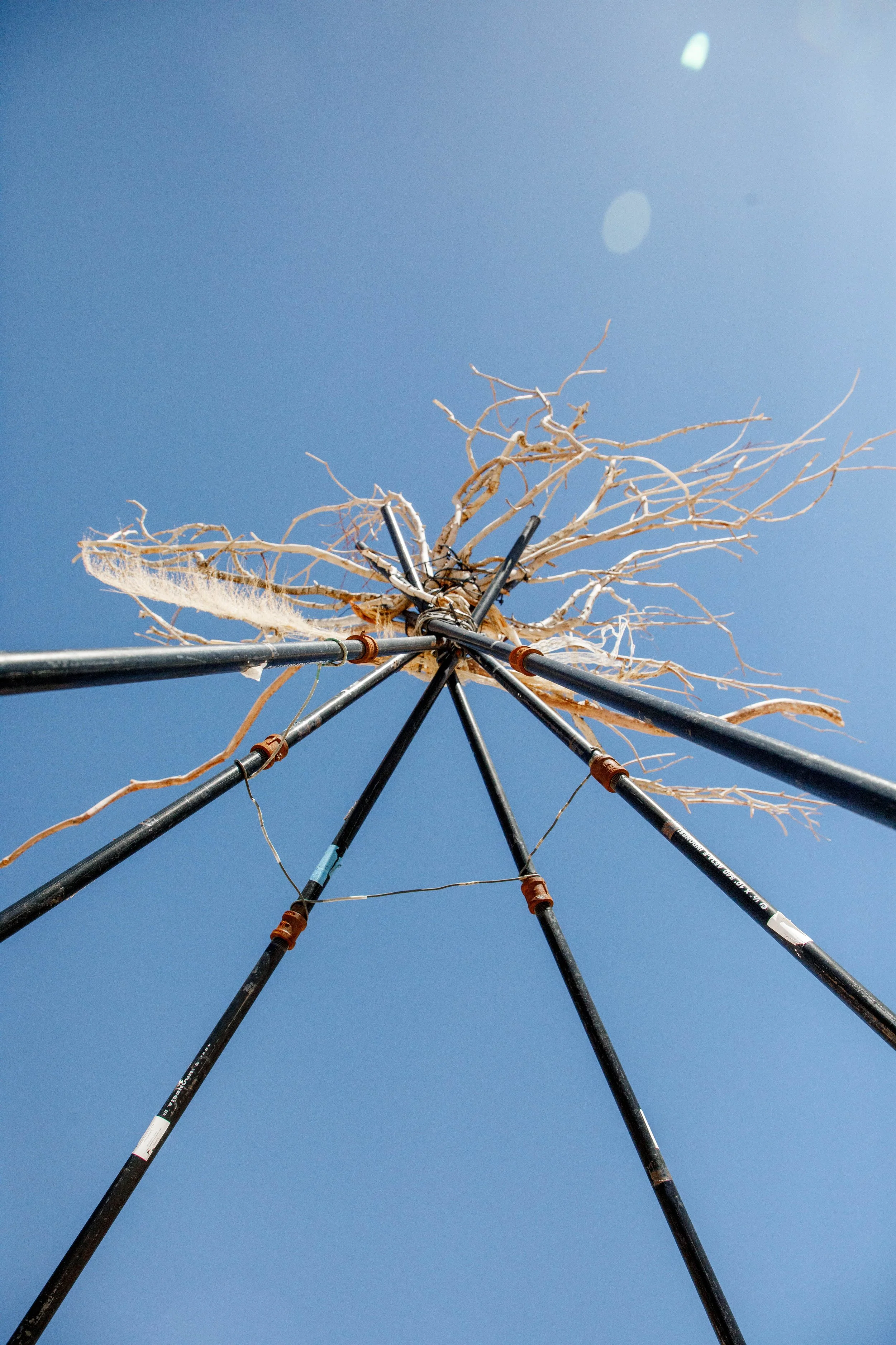 Close-up of a barren tree with no leaves, supported by multiple metal poles arranged in a circle, against a clear blue sky.