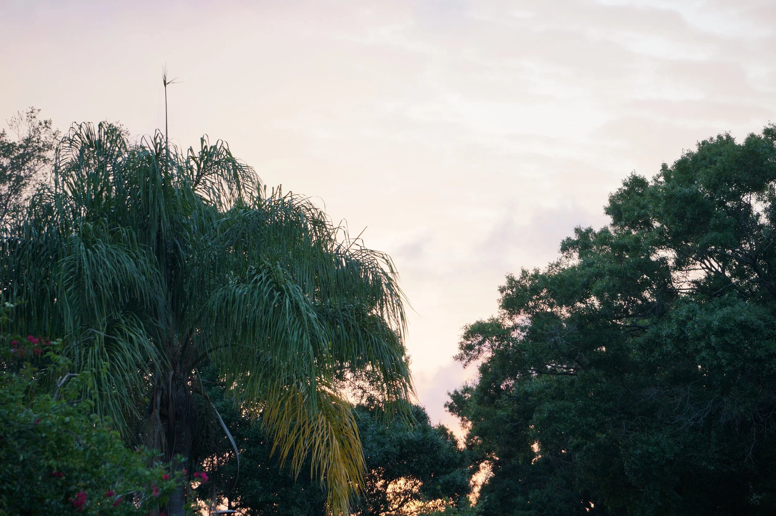 Deed Restrictions — North Bay Hills HoA