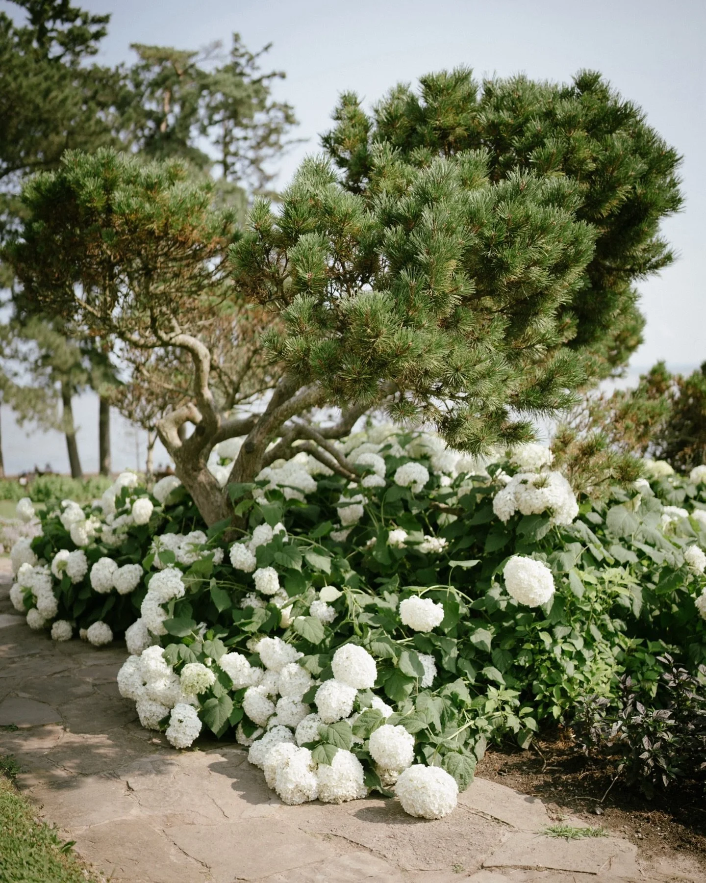 Every little detail on K&amp;M&rsquo;s wedding day speaks of summer 

Shots for @rachaelsloatphotography 
Wedding planner: @amaviplanning 
Venue: @oakvillegalleries @thegardenseventcentre 
Florals: @designsbylawflorals 
MUA: @lavish.flair 
Videograph