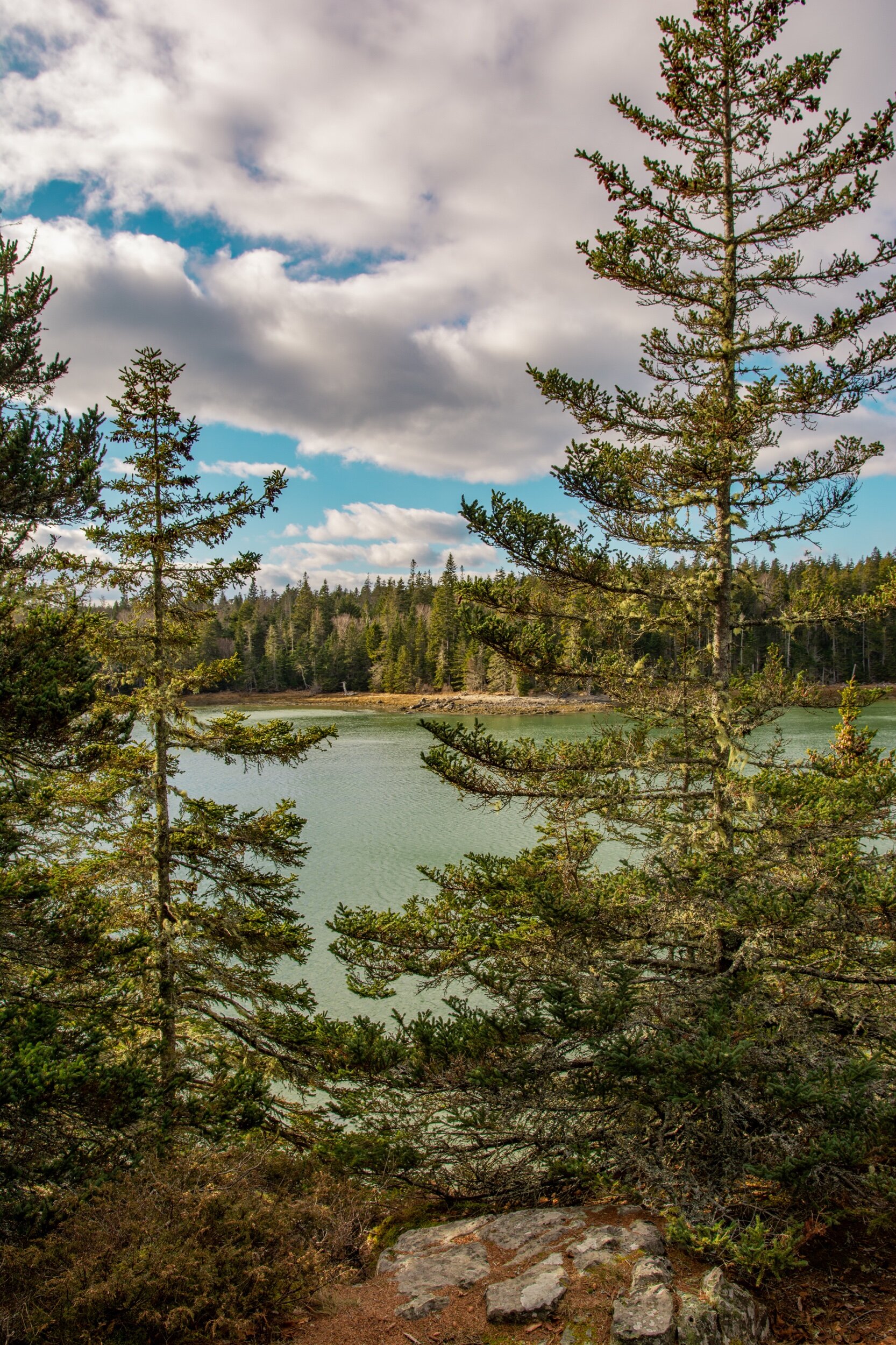 Acdia National Park  (Copy)