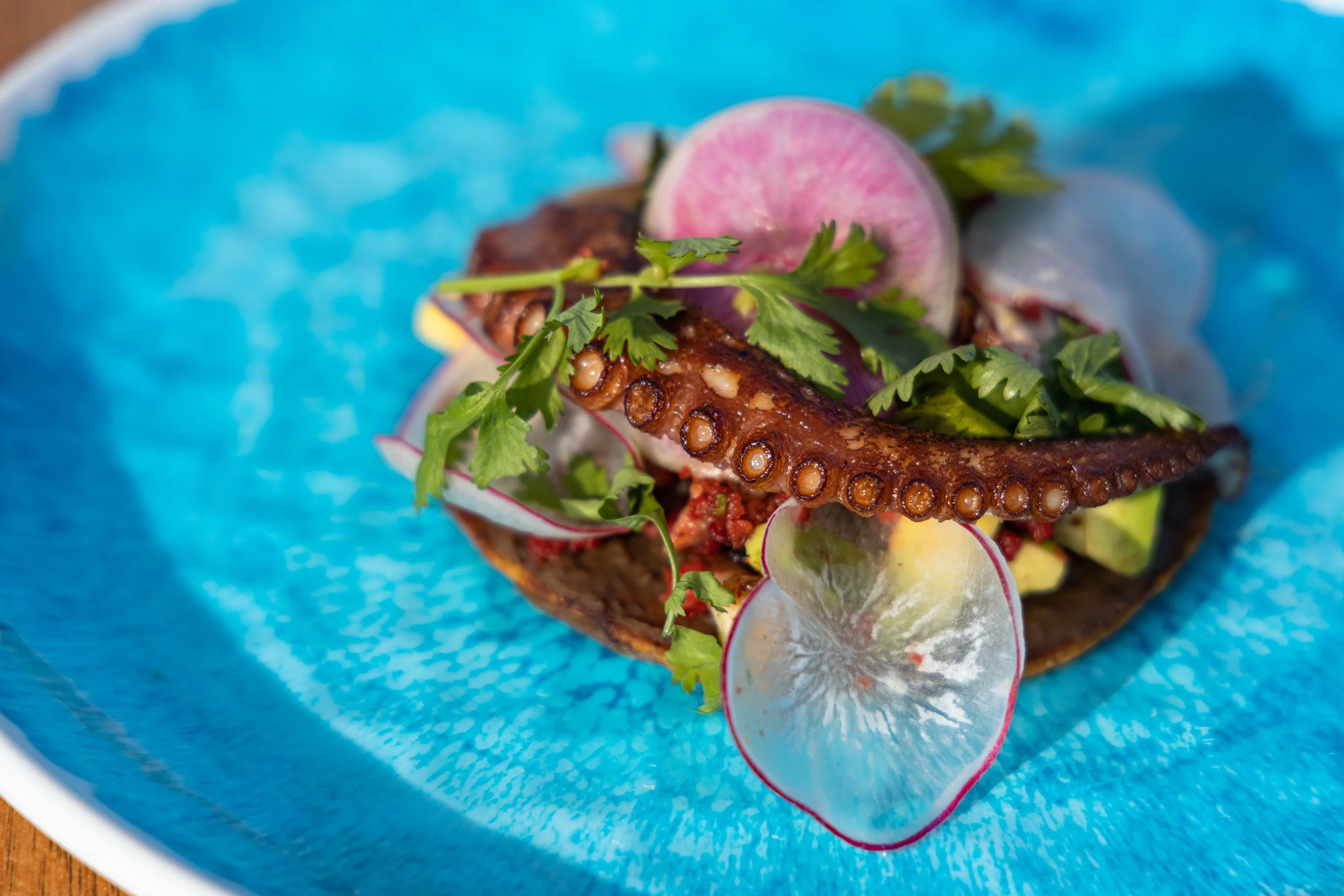 GBCN-dining-food-truck-dish_02.jpg