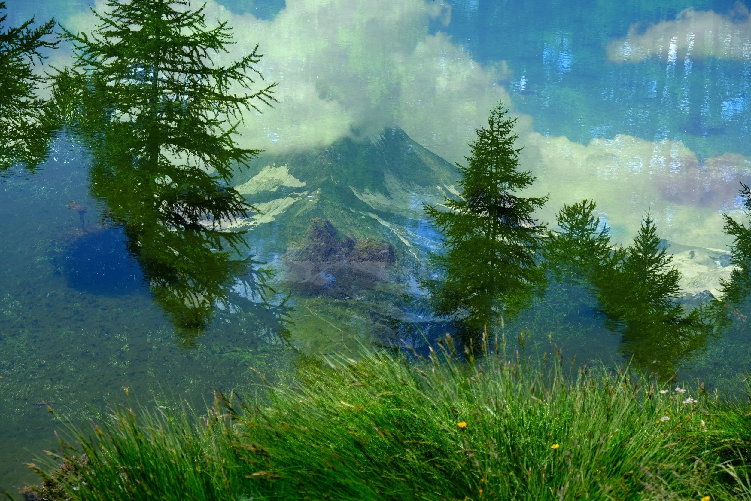 DSCF0818.JPEG