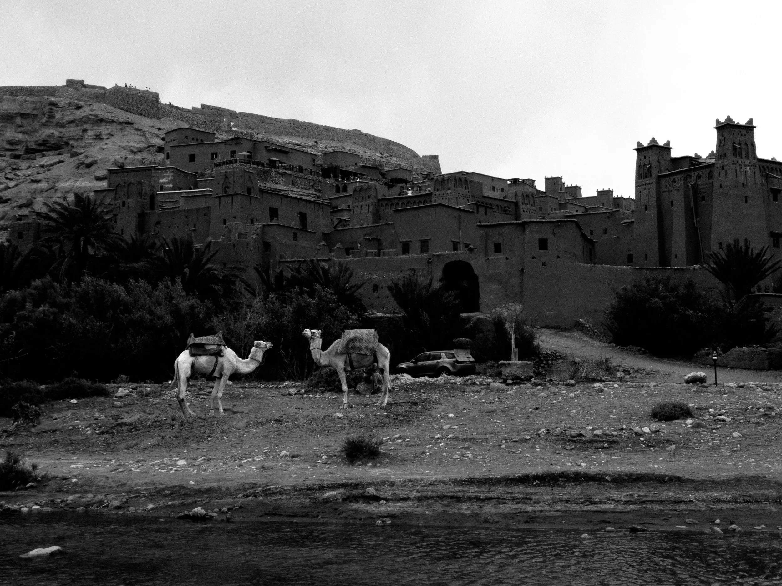 P5301440.jpg