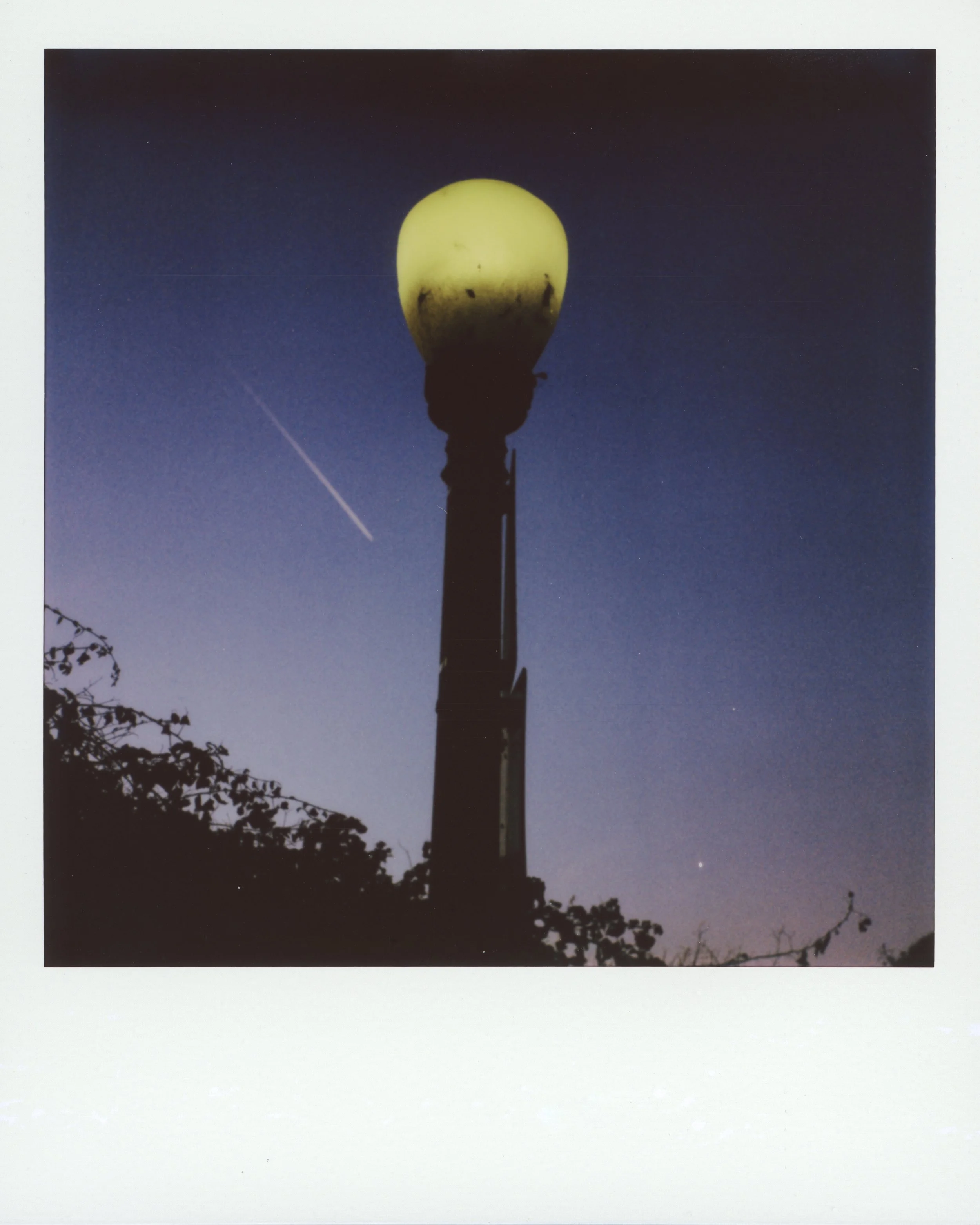 202511-0005 copy.jpg