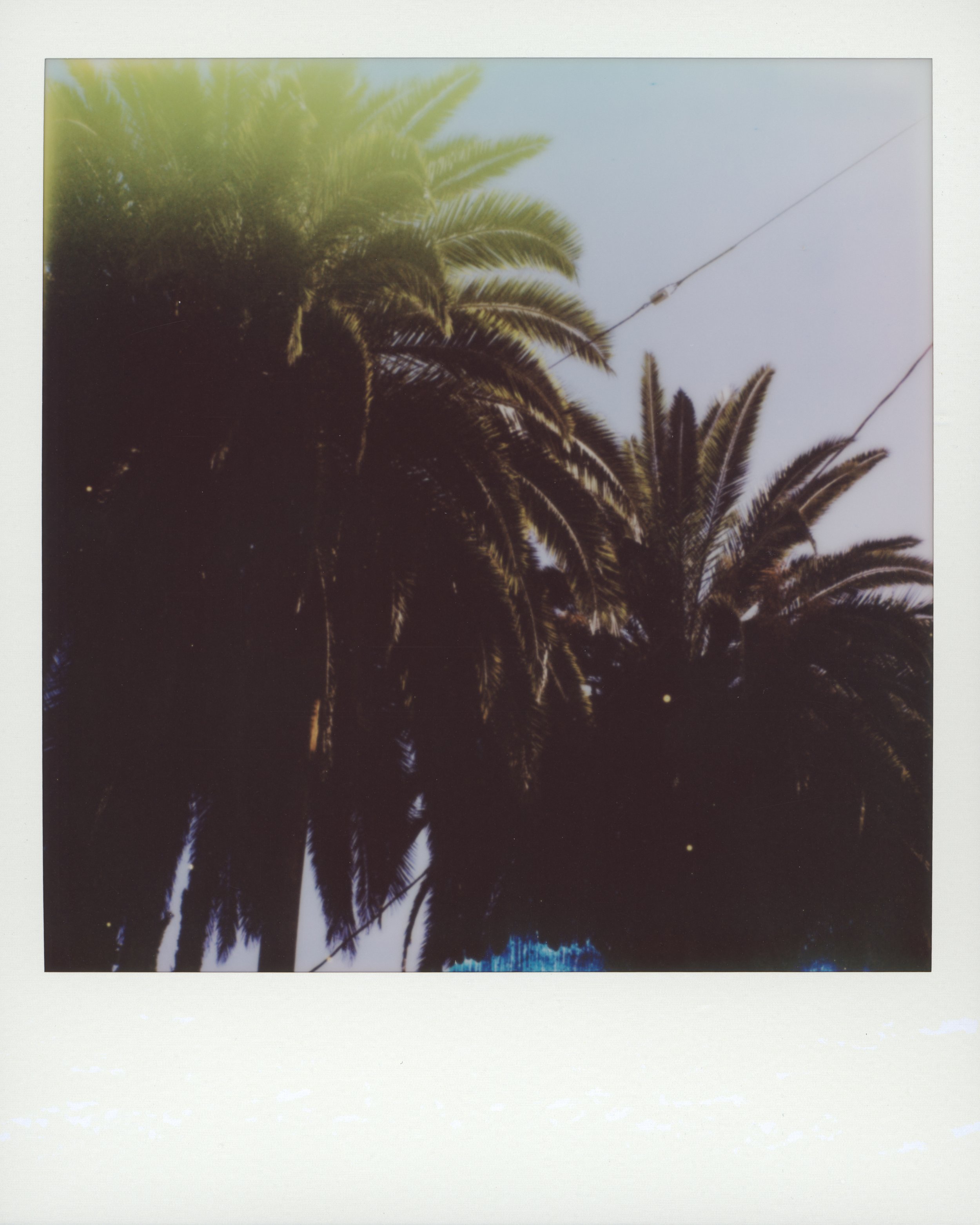 202511-0002 copy 4.jpg