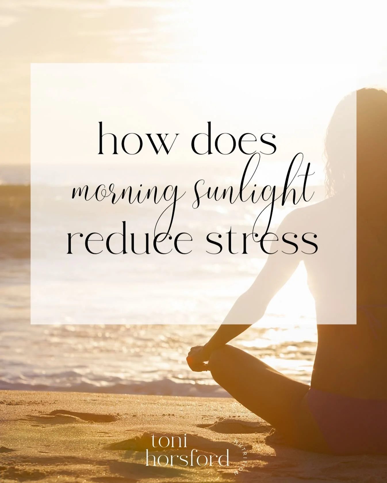 Morning sunlight a simple but overlooked way to reduce stress levels. Here's how the gentle rays early in the morning can benefit you:

☀️Exposure to morning sunlight triggers the release of serotonin, a mood regulating neurotransmitter. Higher level