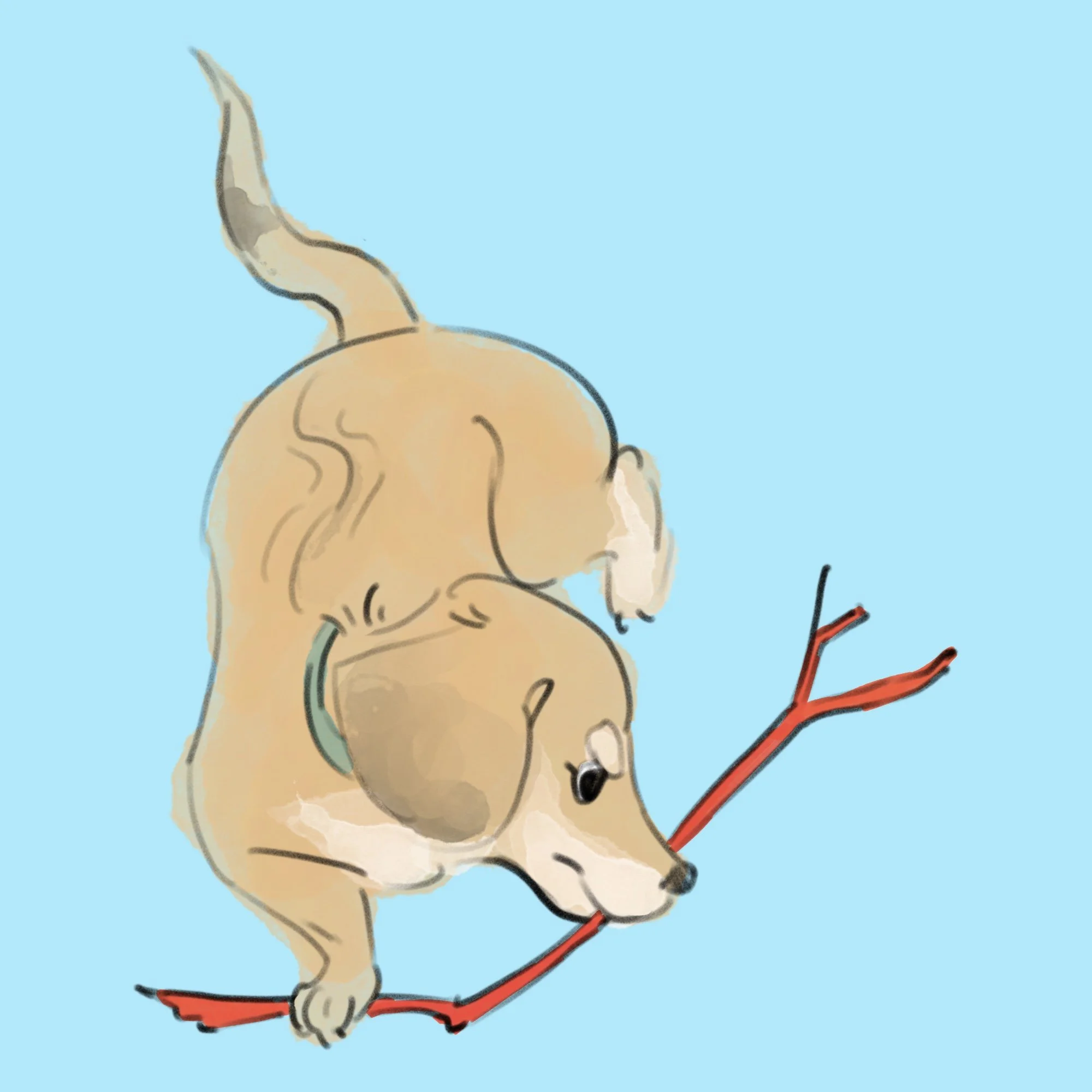 Noot’s Stick