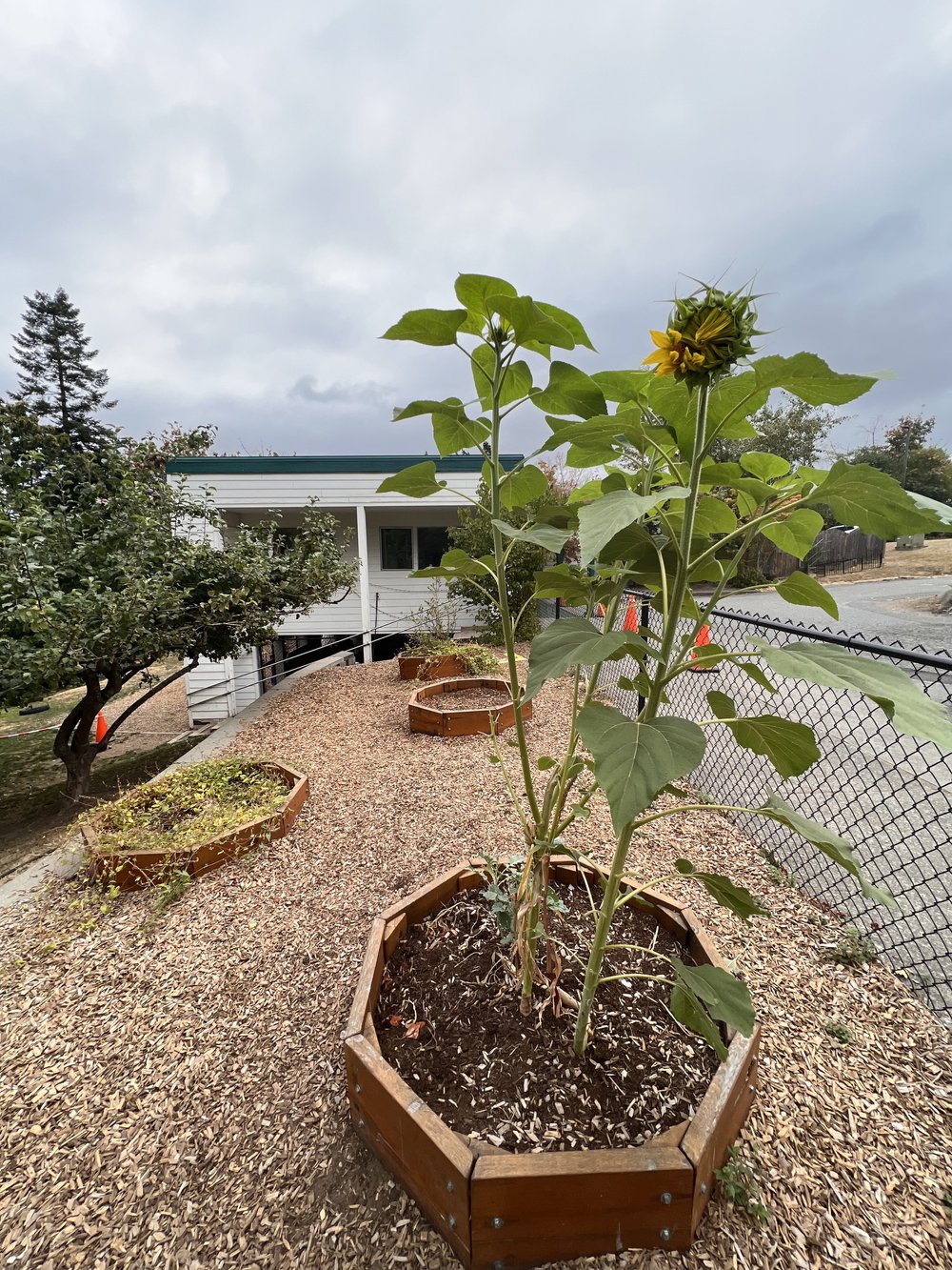 About — Bellingham Childcare & Learning Center