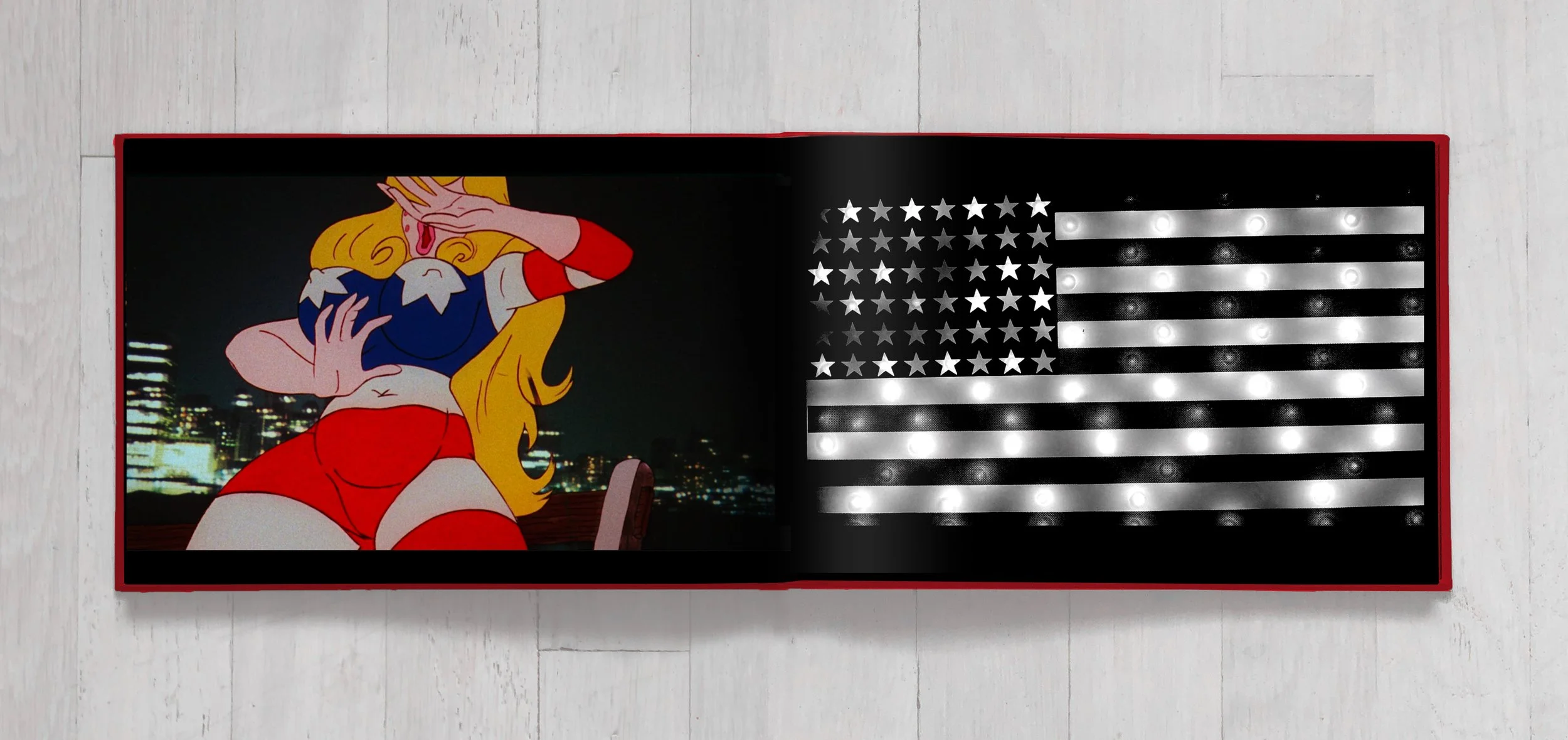 American-Flag-Book-Mock_12.jpg