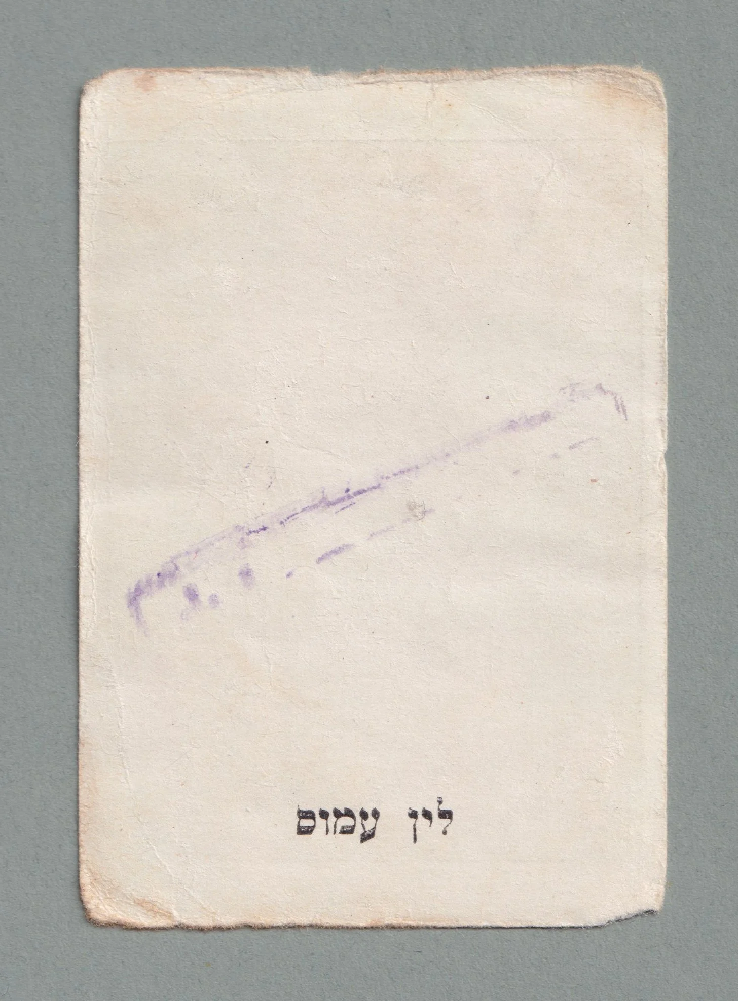 1954 General Merchants Hasport Haisraeli B.jpeg