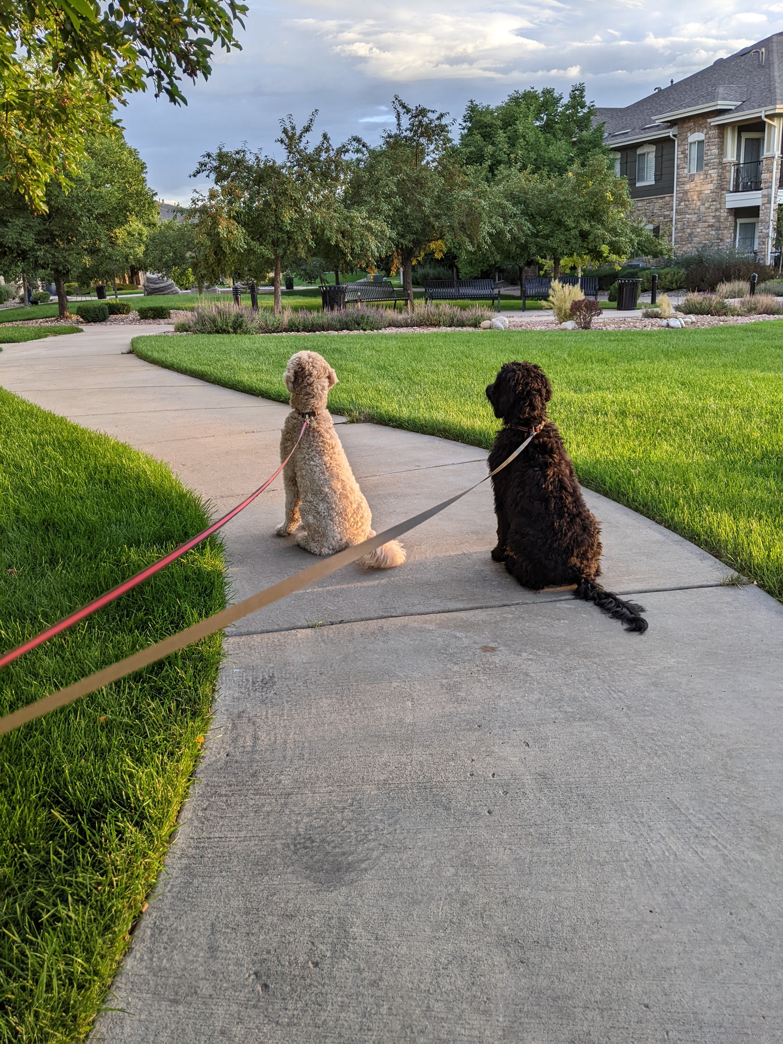 Gabby & Boone