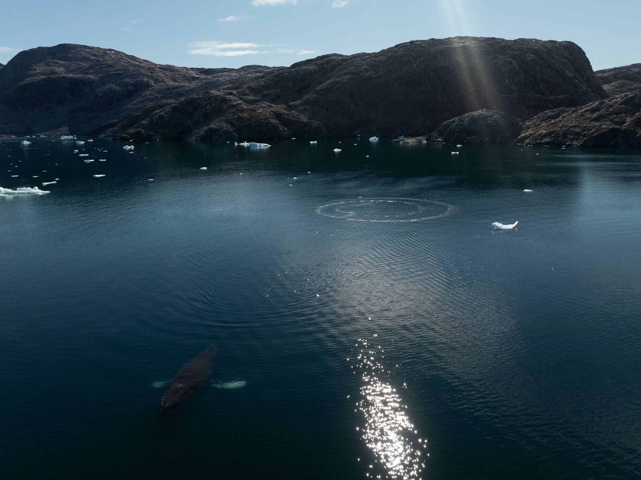 DJI_0935.jpg