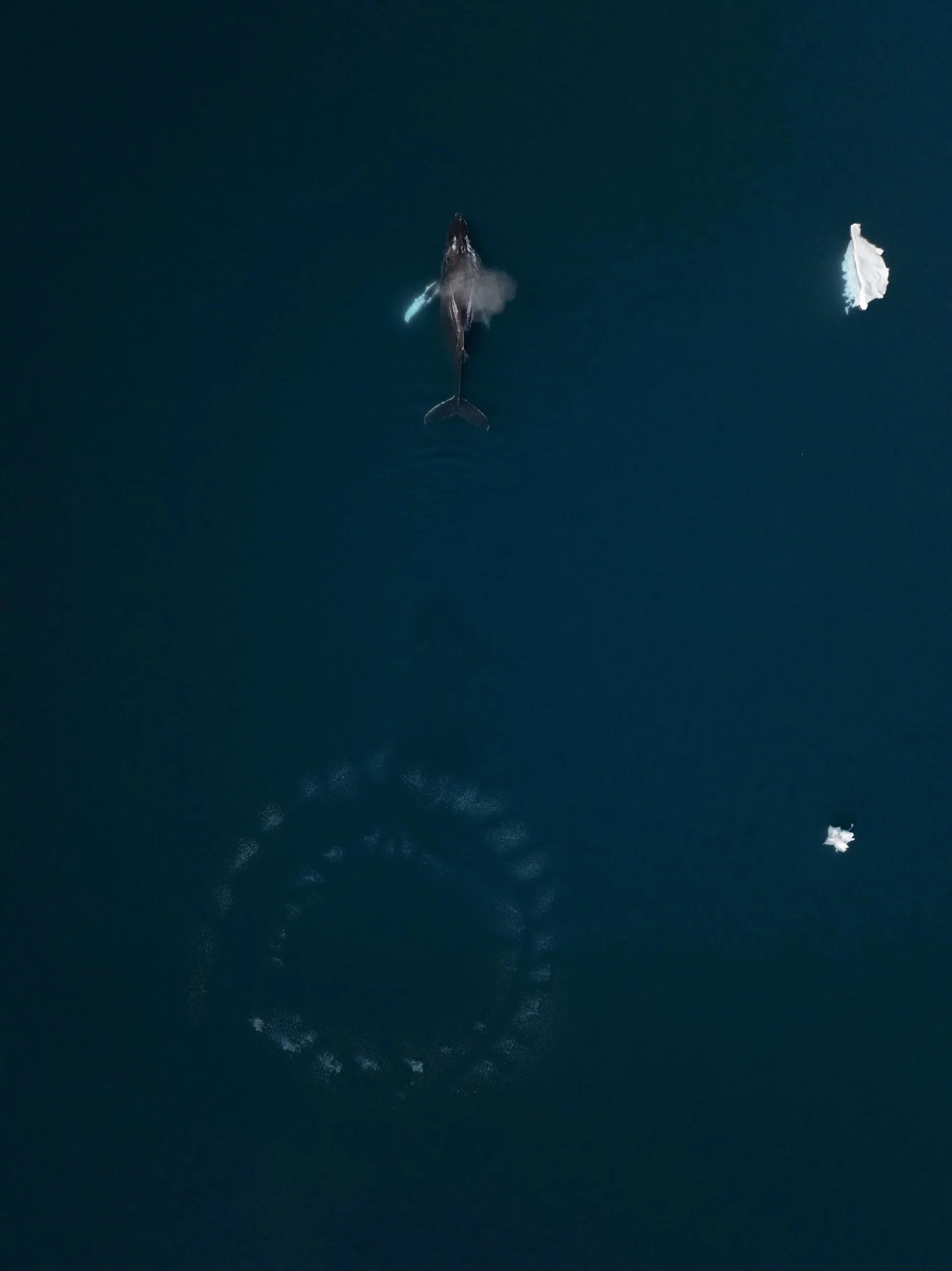 DJI_0954.jpg