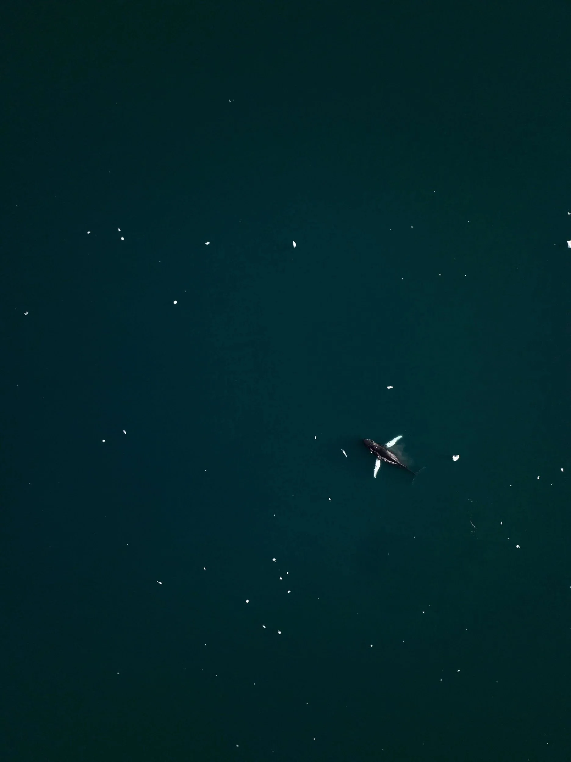 DJI_0830.jpg
