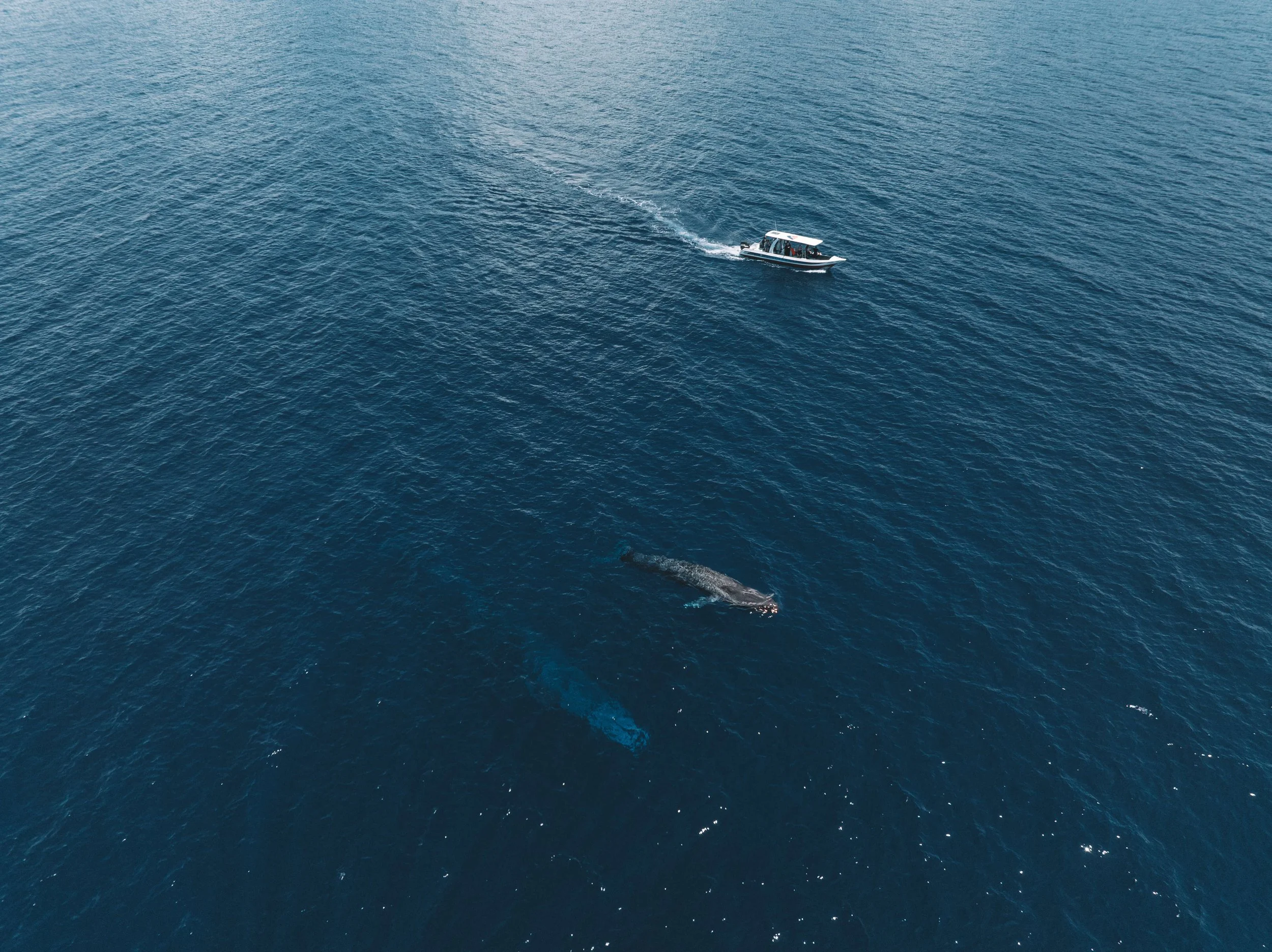 DJI_0042-Enhanced-NR.jpg