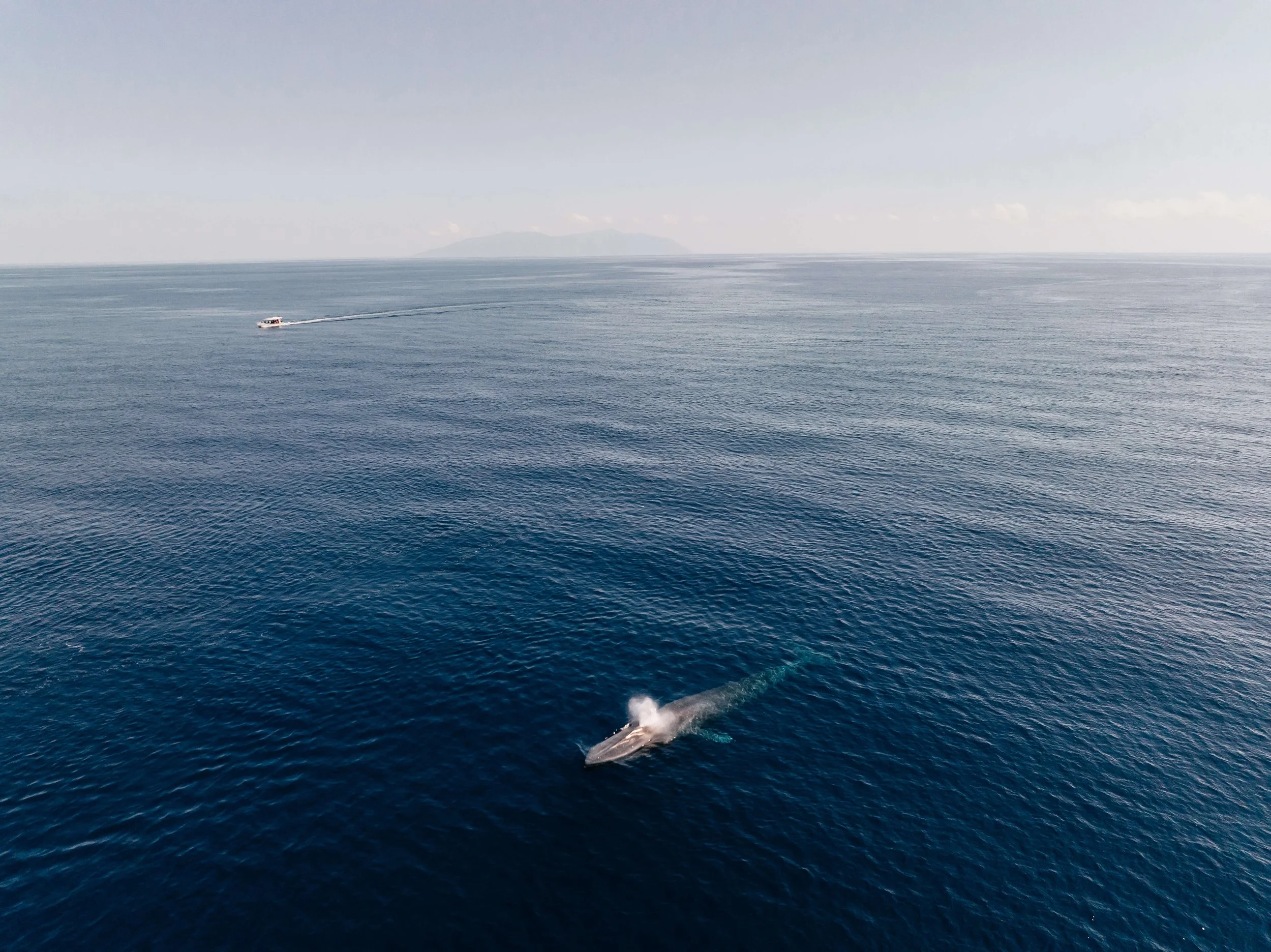 DJI_0027.jpg