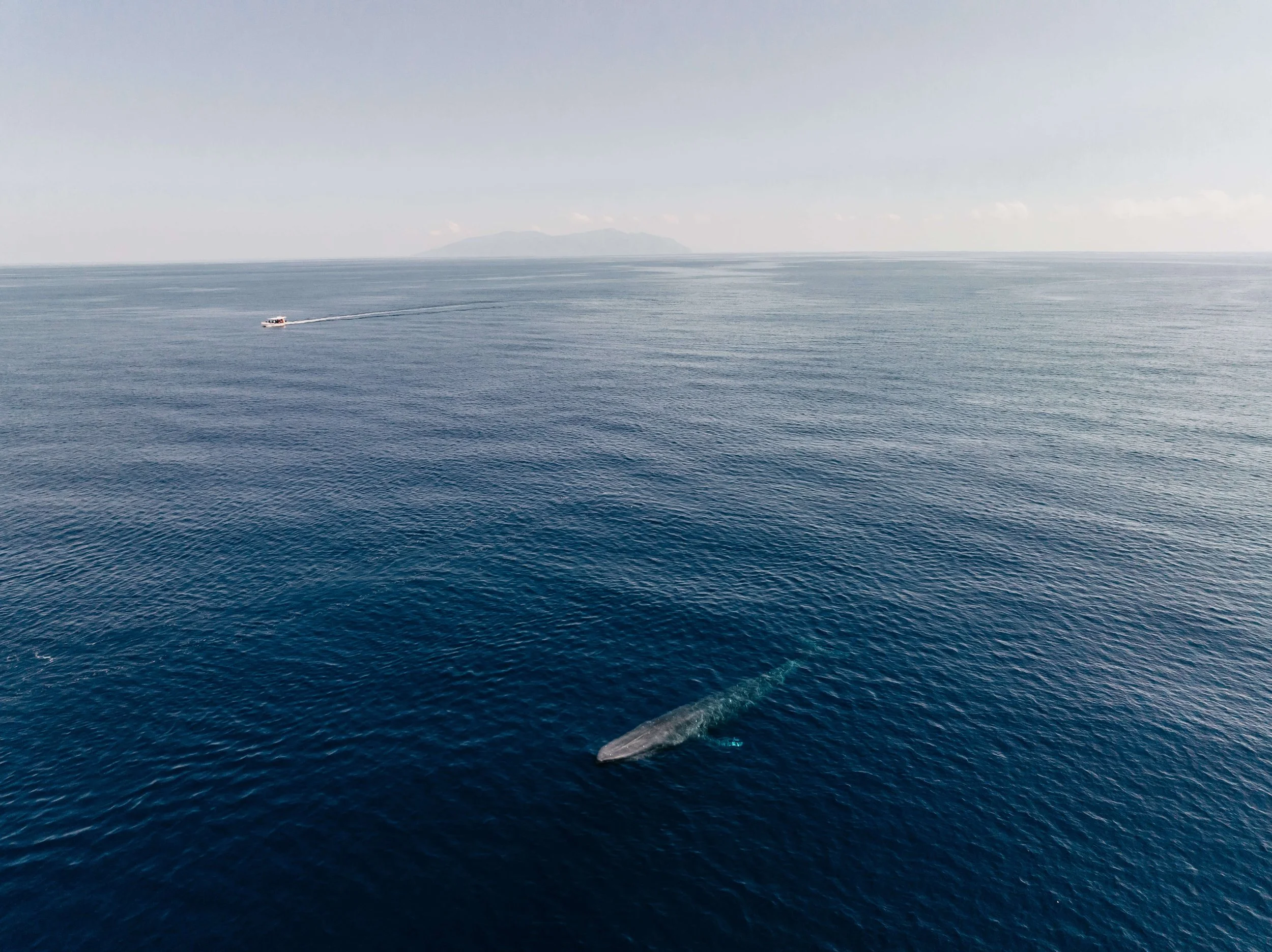DJI_0026.jpg