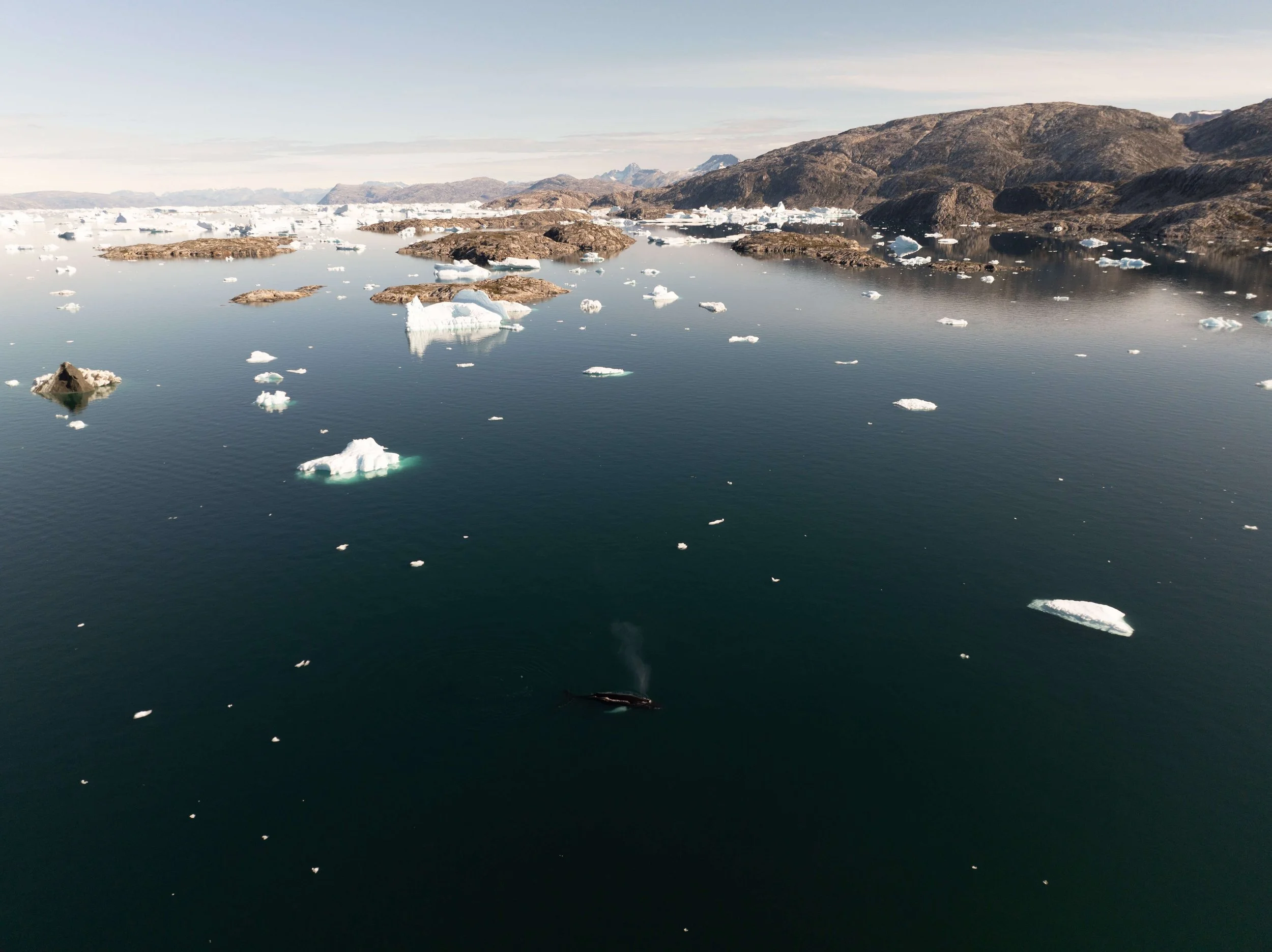 DJI_0714-2.jpg