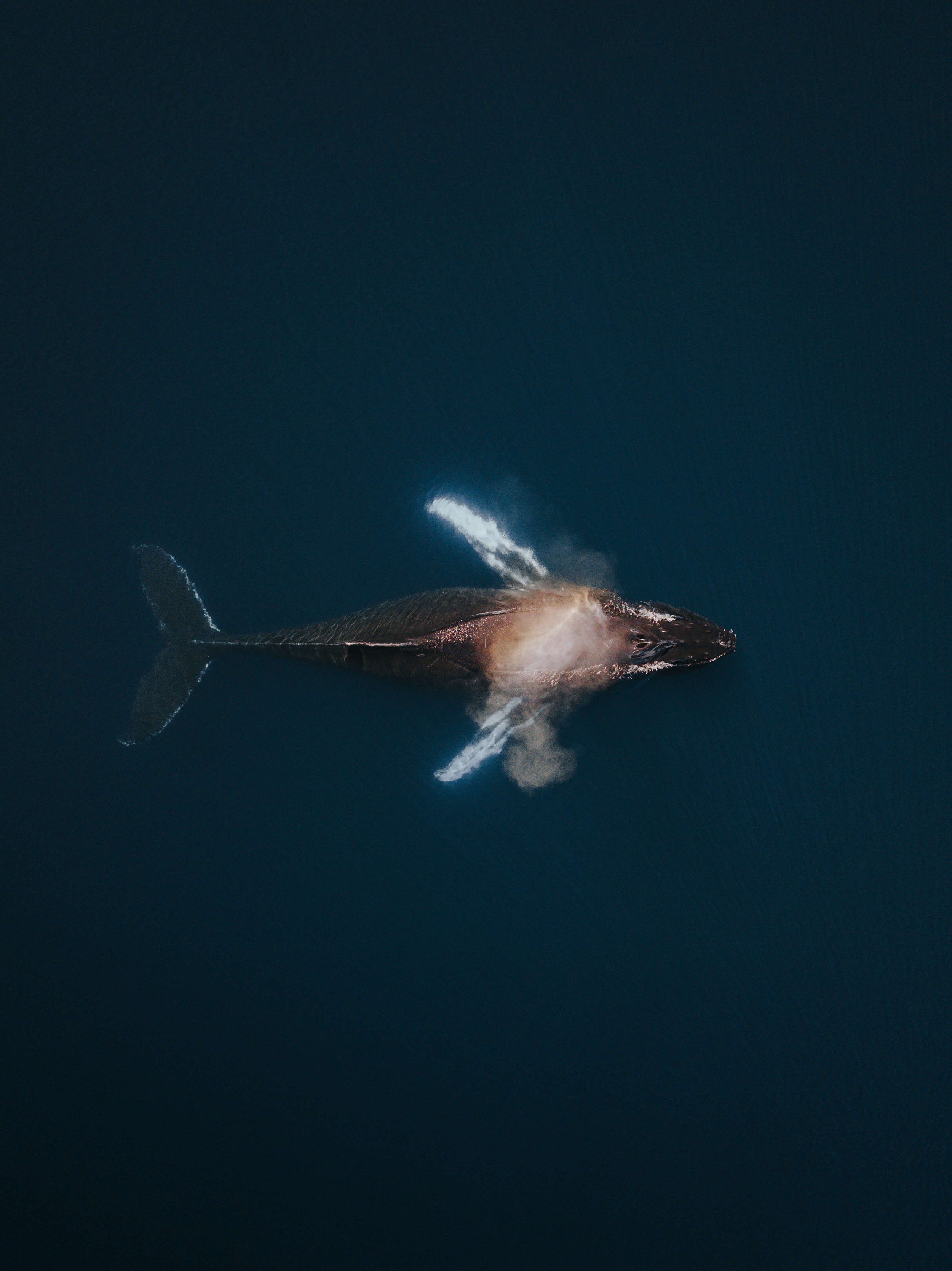 DJI_0902.jpg