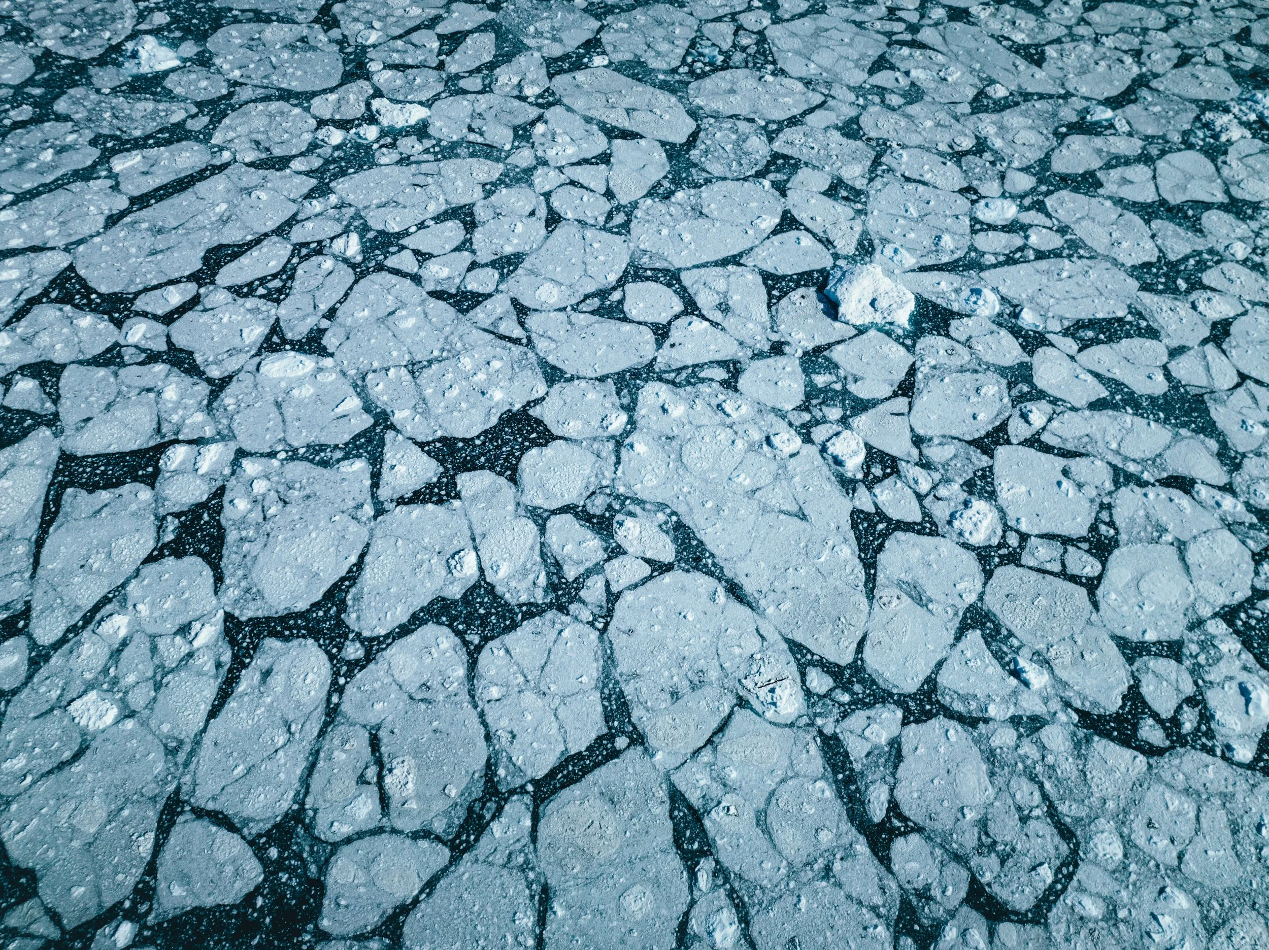 DJI_0095.jpg