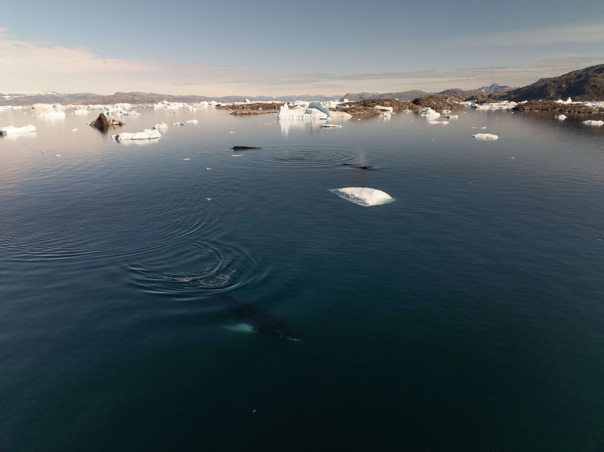 DJI_0727.jpg