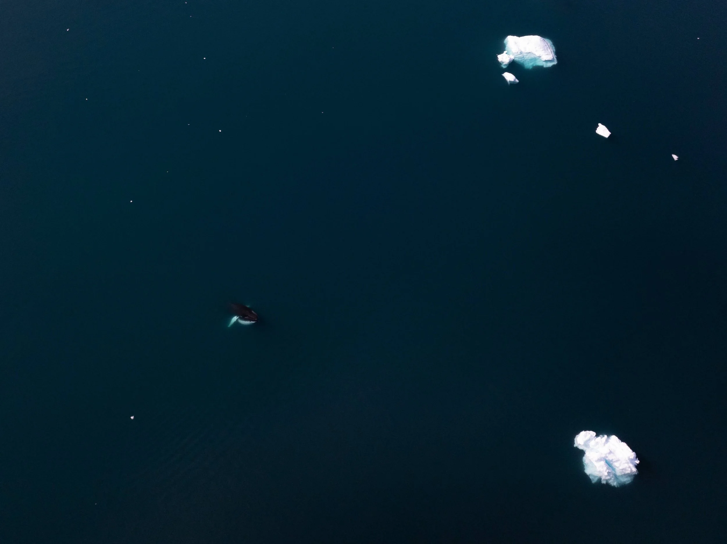 DJI_0458.jpg